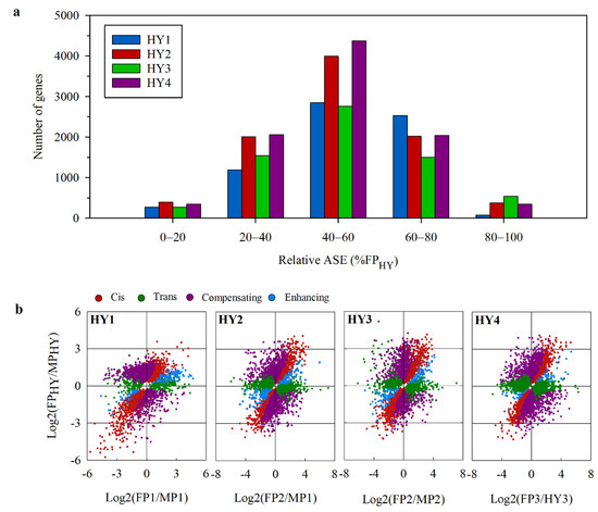 Plants Free Full Text Parative Transcriptomic Analysis Of Gene Expression Inheritance Patterns Associated With Cabbage Head Heterosis Html