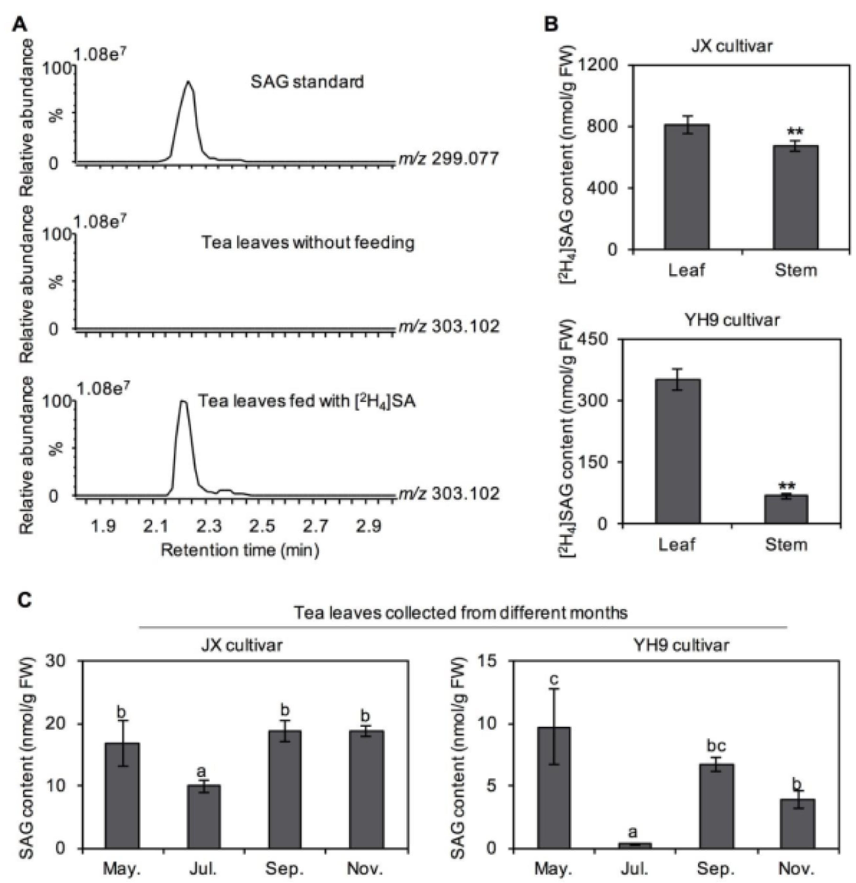 Plants 10 00282 g002