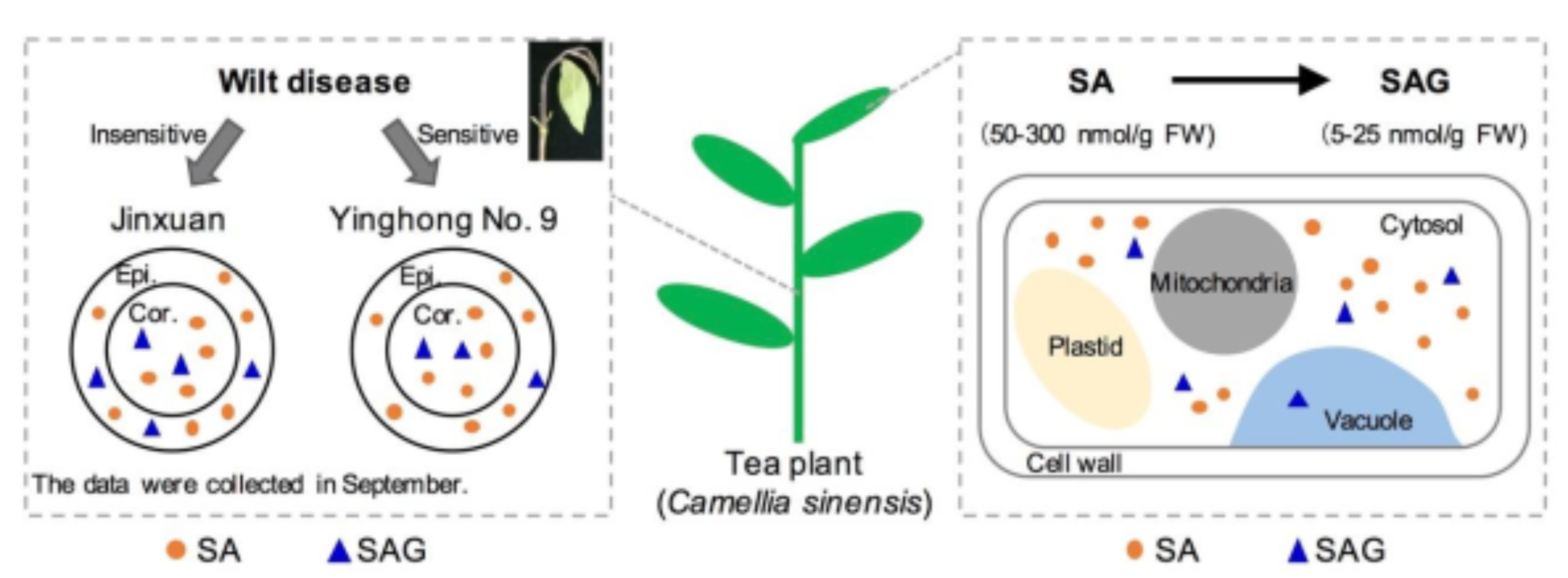 Plants 10 00282 g008