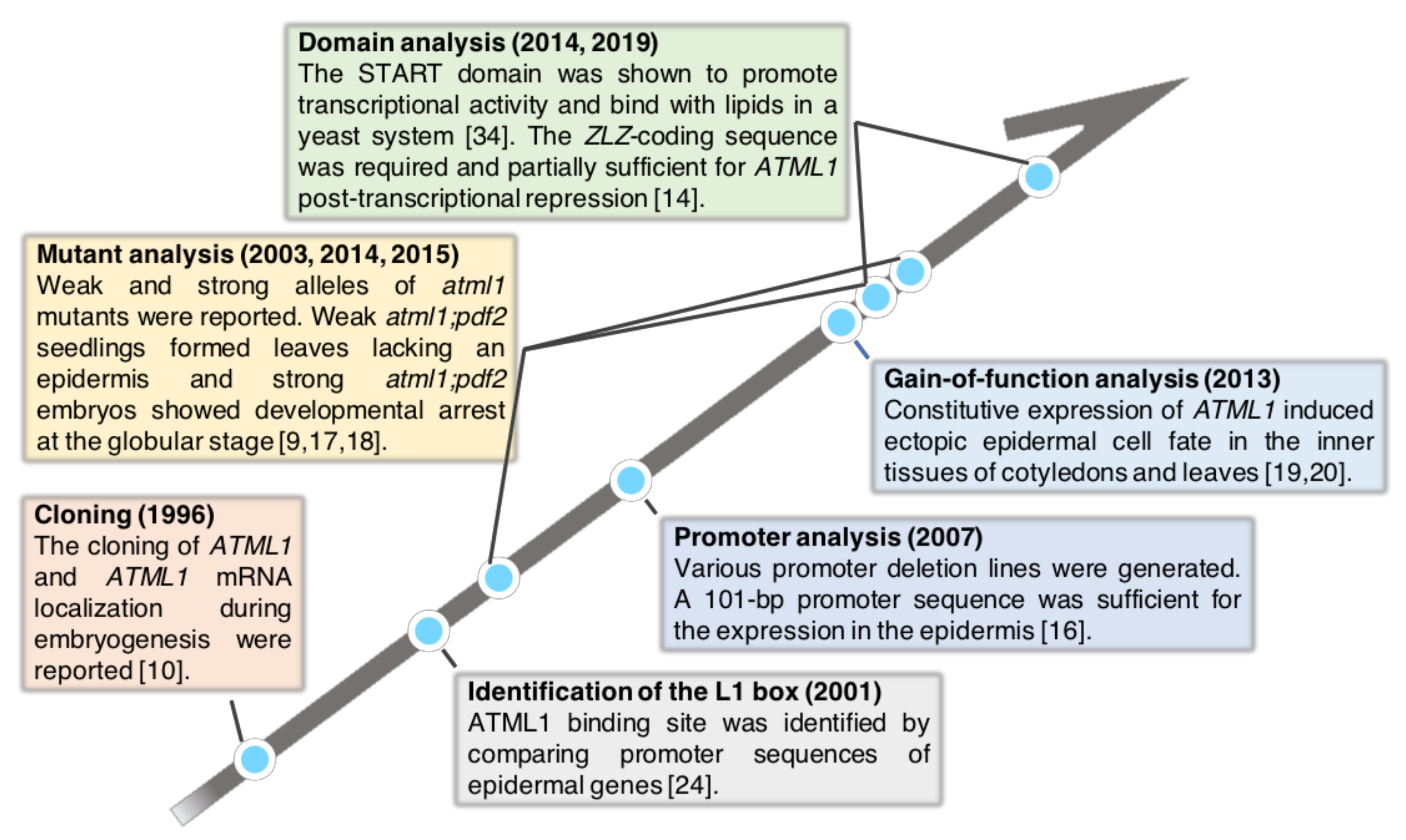 Plants 10 00290 g001 Plants 10 00290 g001