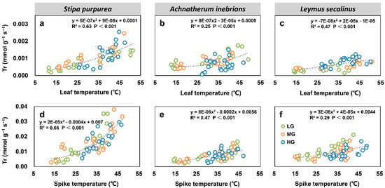 Plants Free Full Text Grazing Intensity Alters Leaf And Spike Photosynthesis Transpiration And Related Parameters Of Three Grass Species On An Alpine Steppe In The Qilian Mountains Html