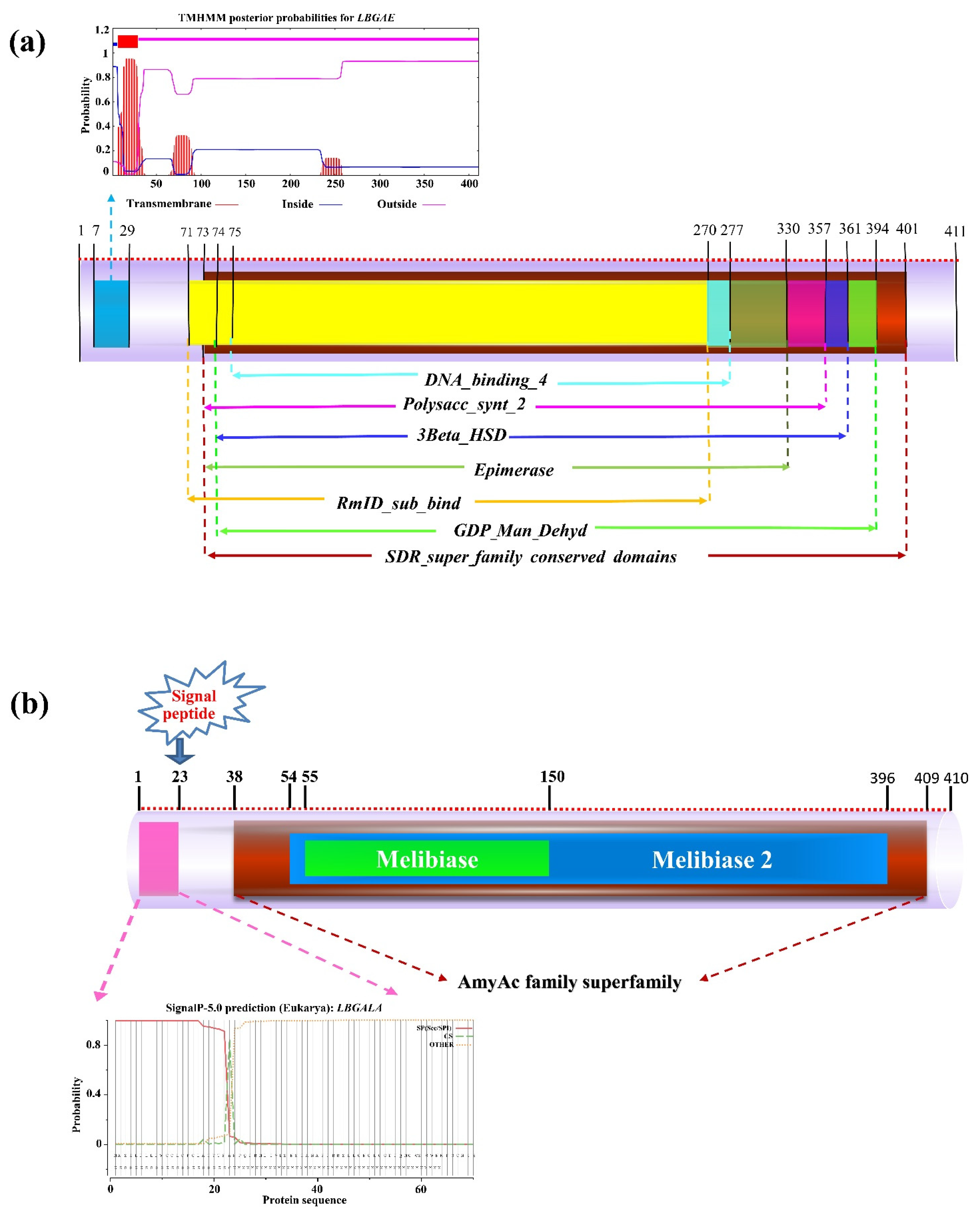 Plants 10 00321 g001 Plants 10 00321 g001