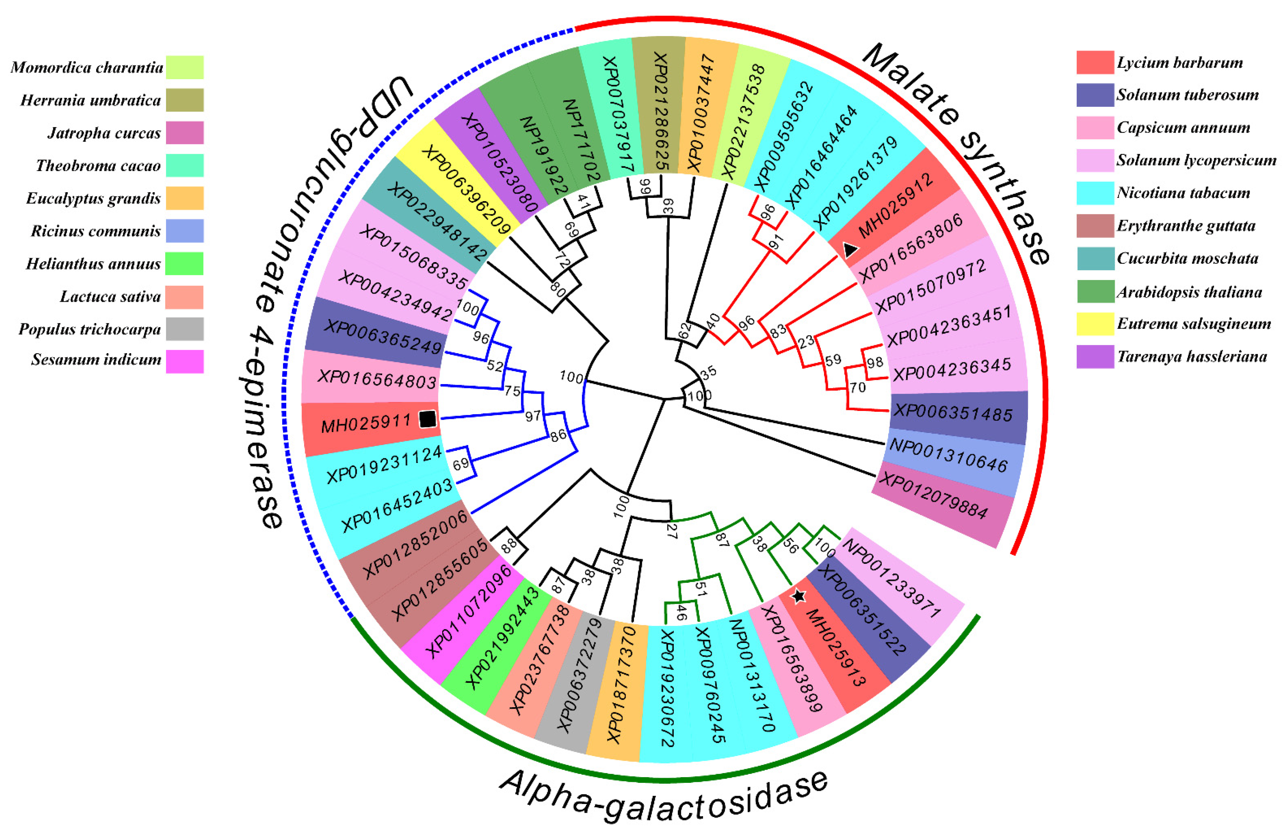 Plants 10 00321 g003 Plants 10 00321 g003