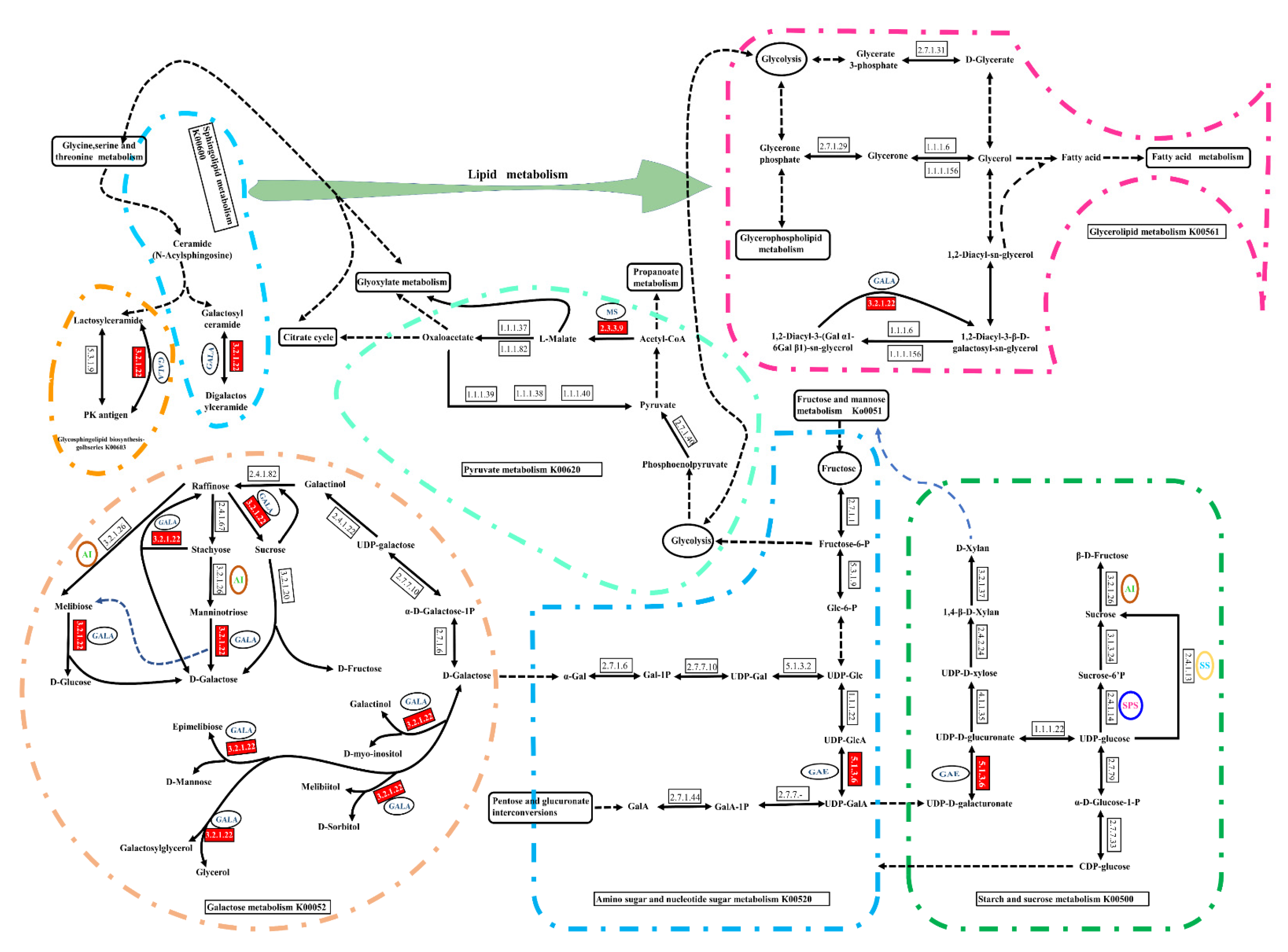 Plants 10 00321 g004 Plants 10 00321 g004