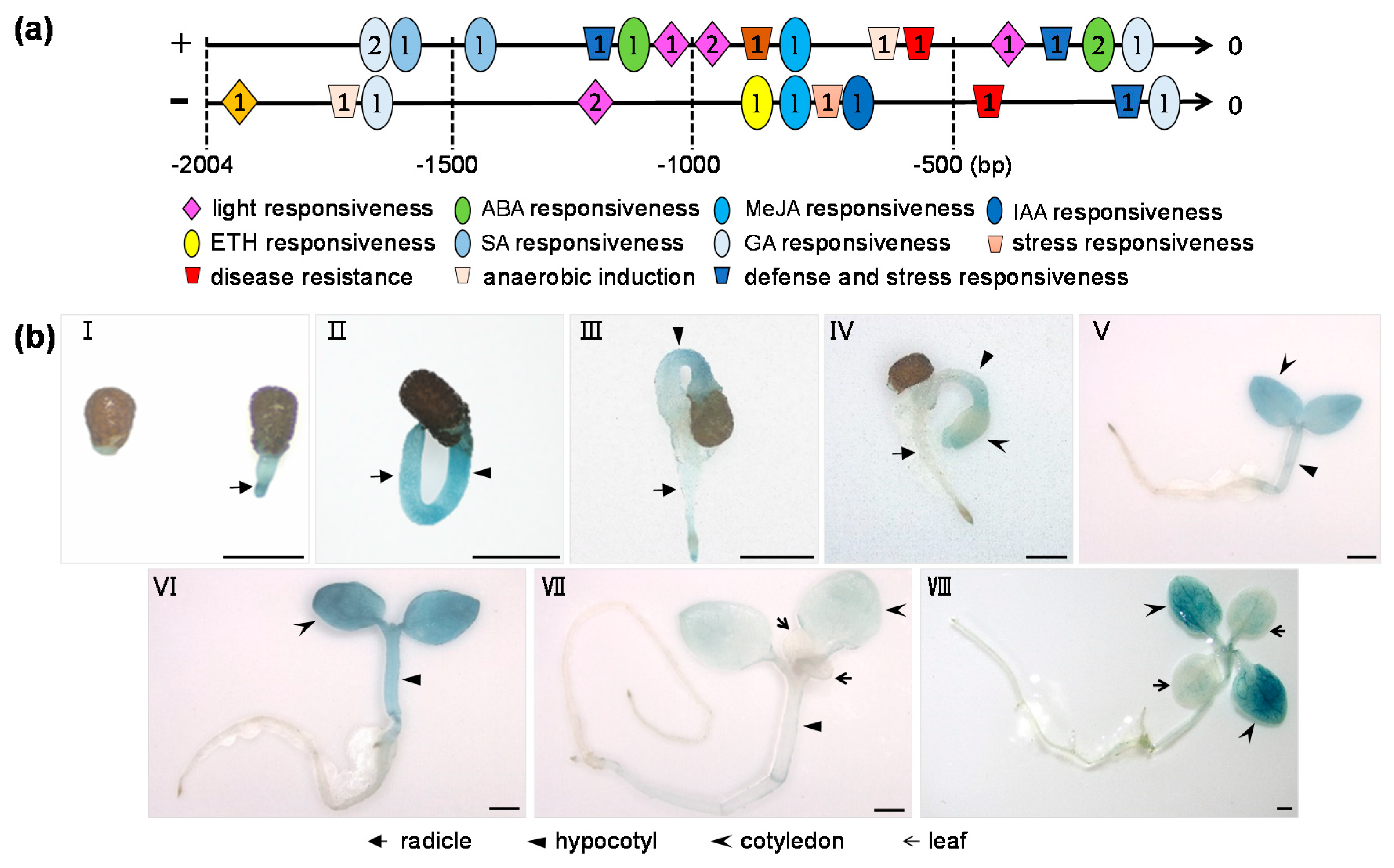 Plants 10 00323 g002