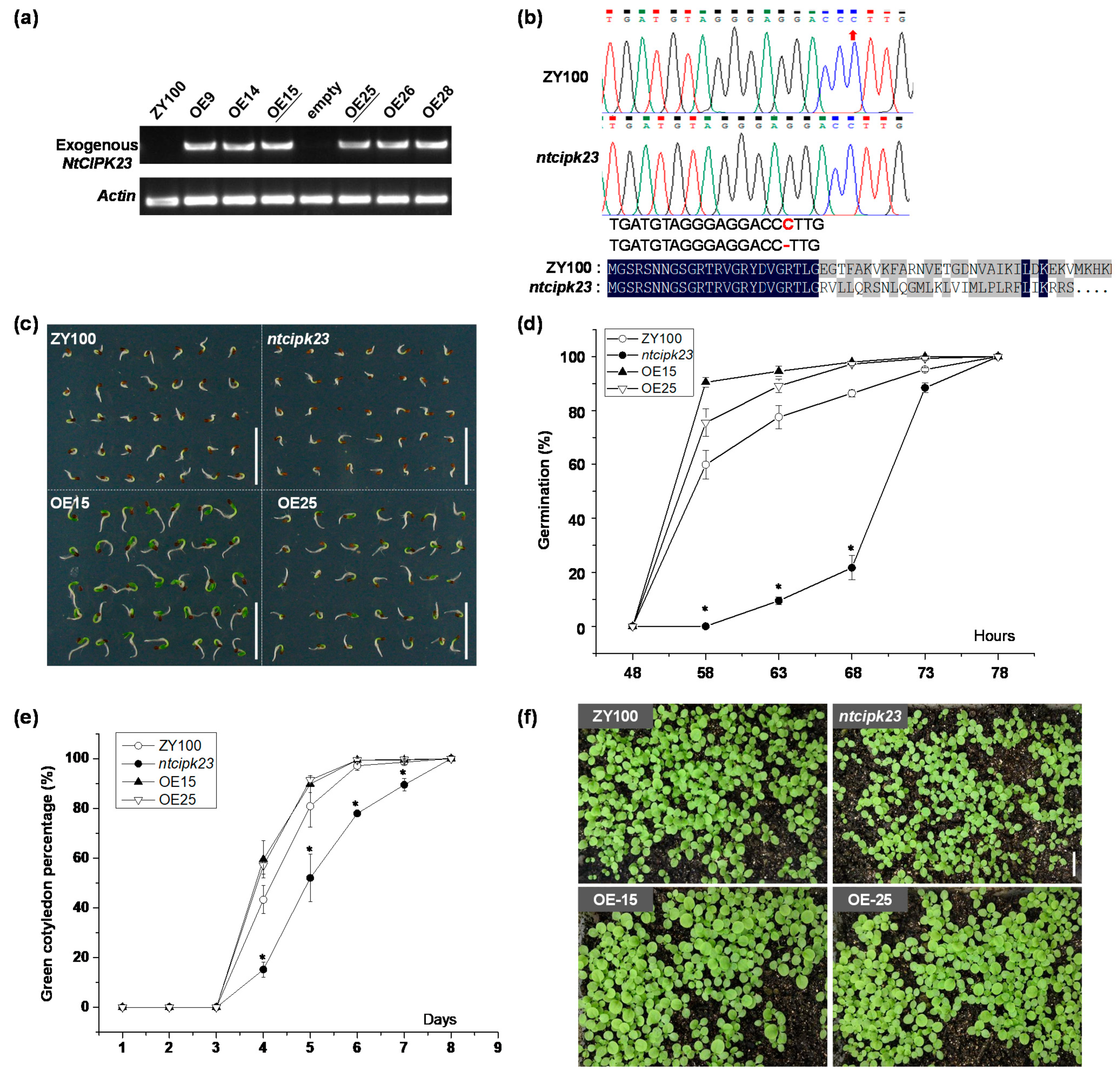Plants 10 00323 g003