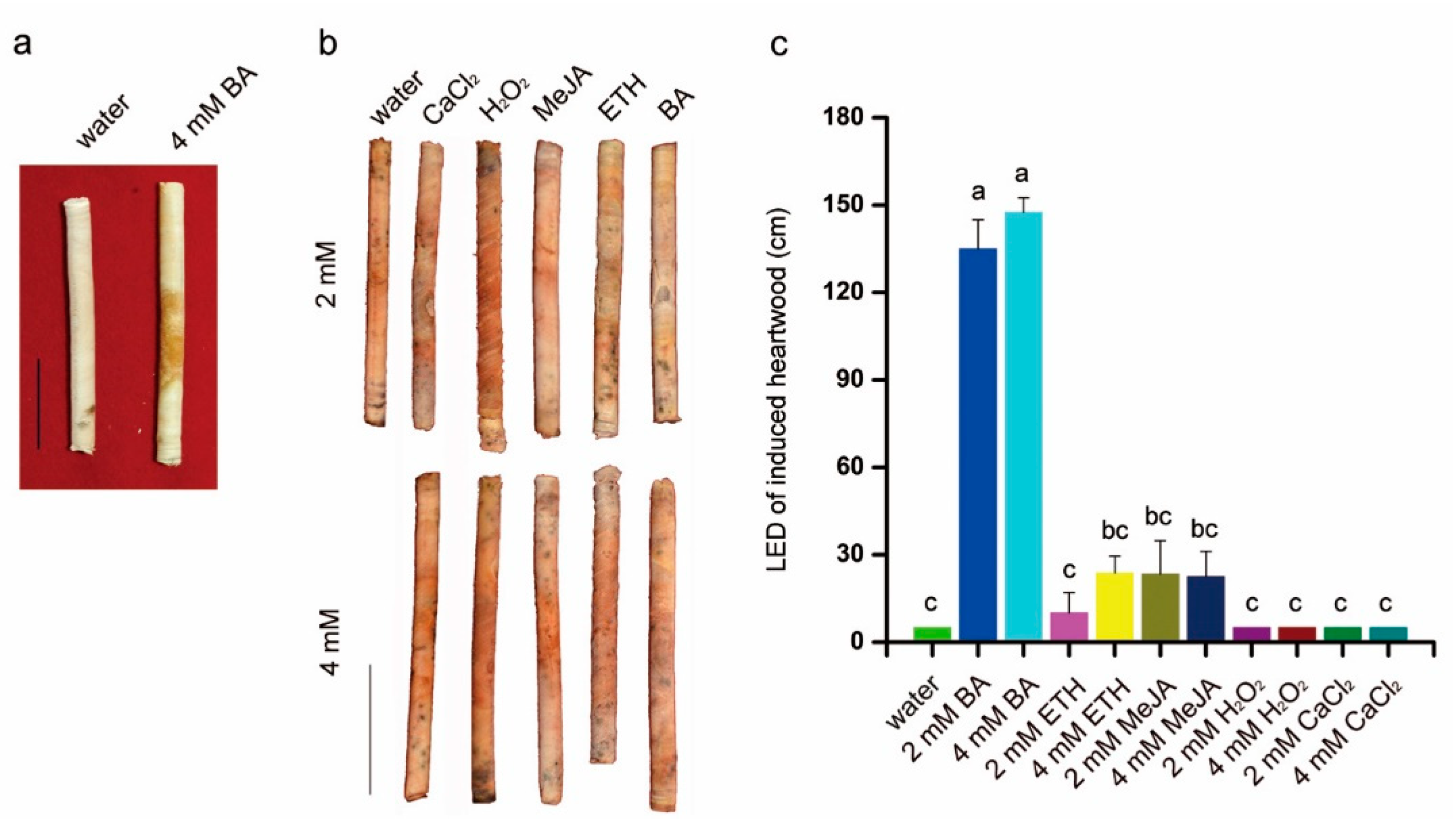 Plants 10 00339 g004