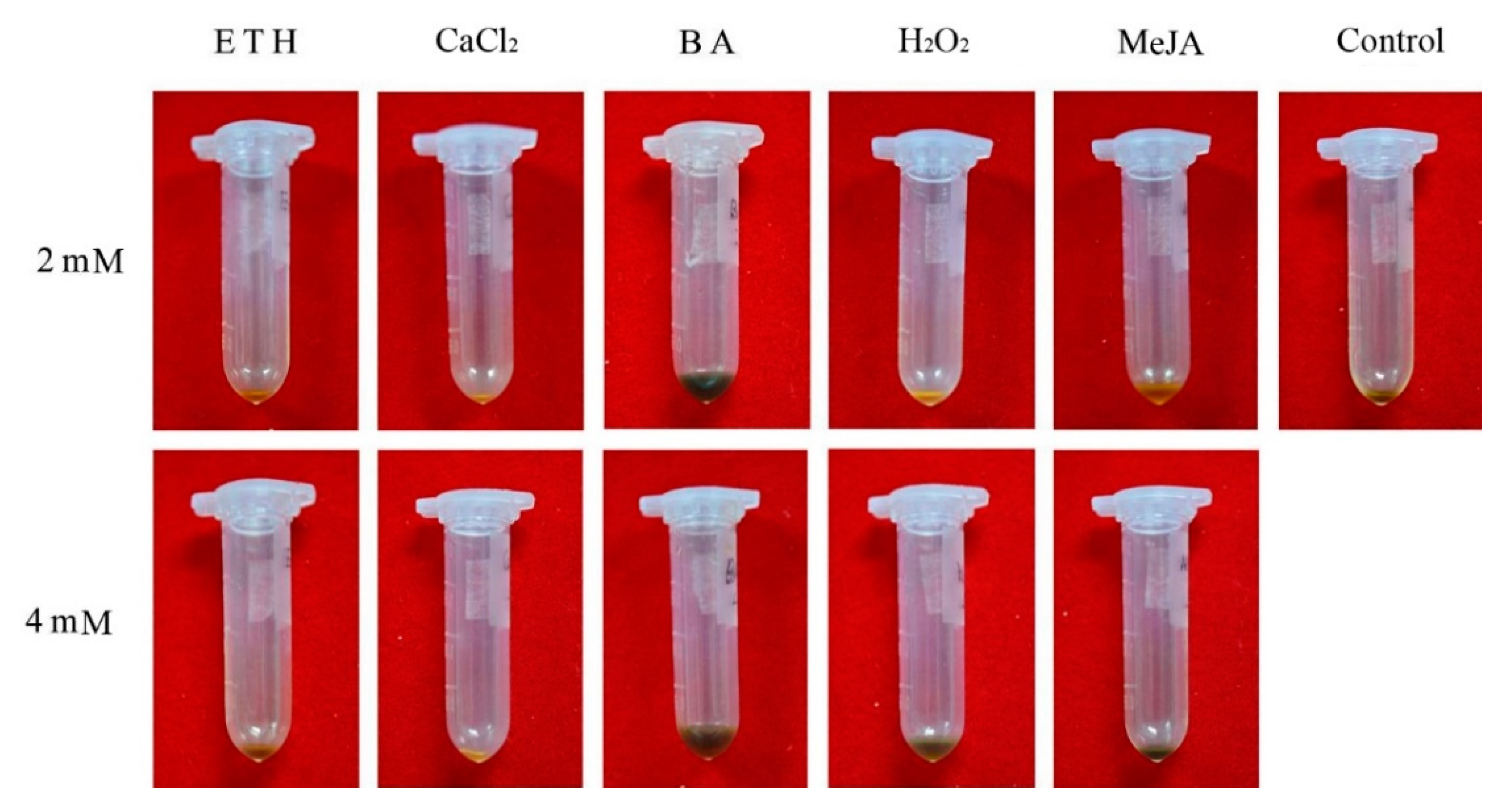 Plants 10 00339 g005