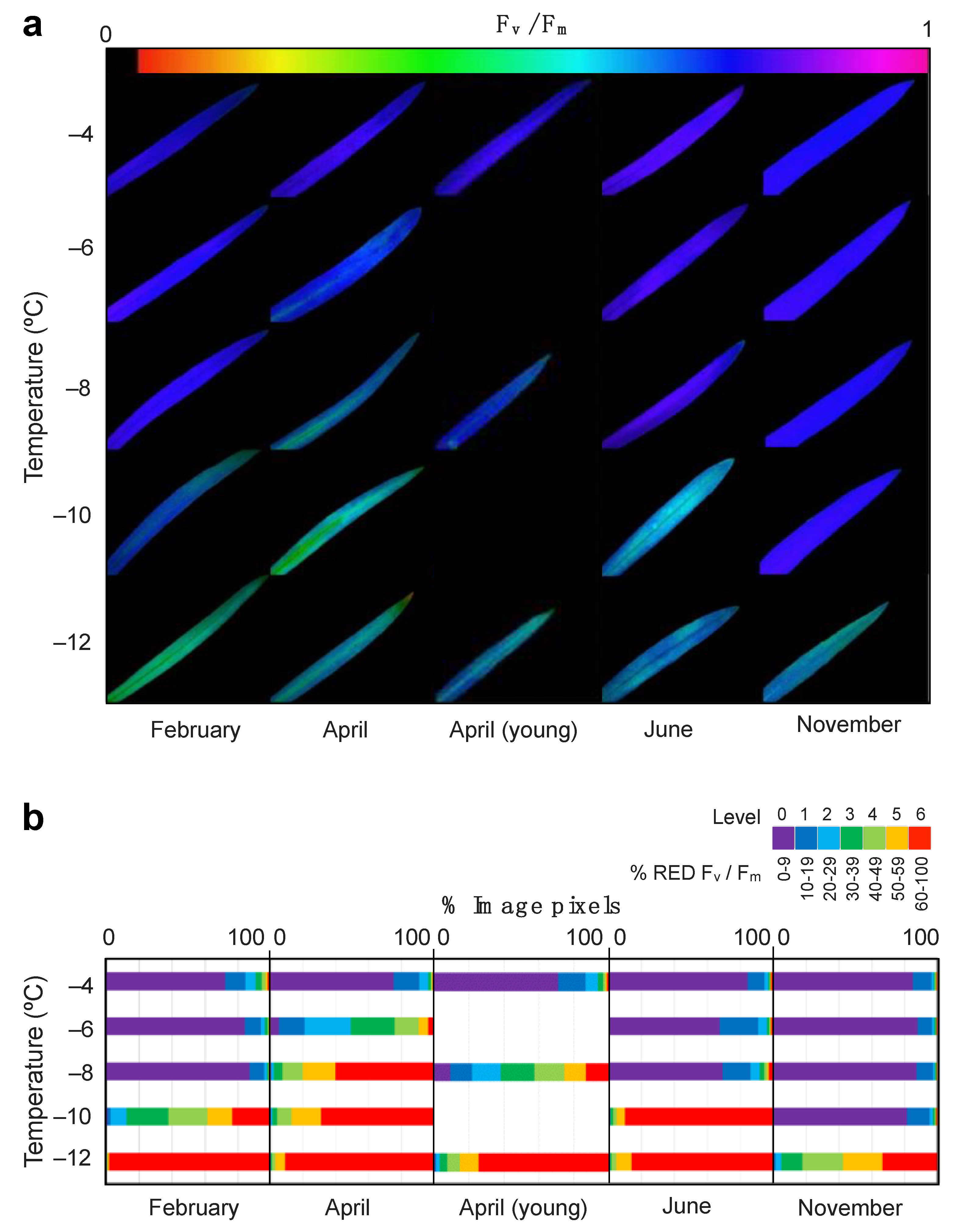 Plants 10 00379 g002 Plants 10 00379 g002