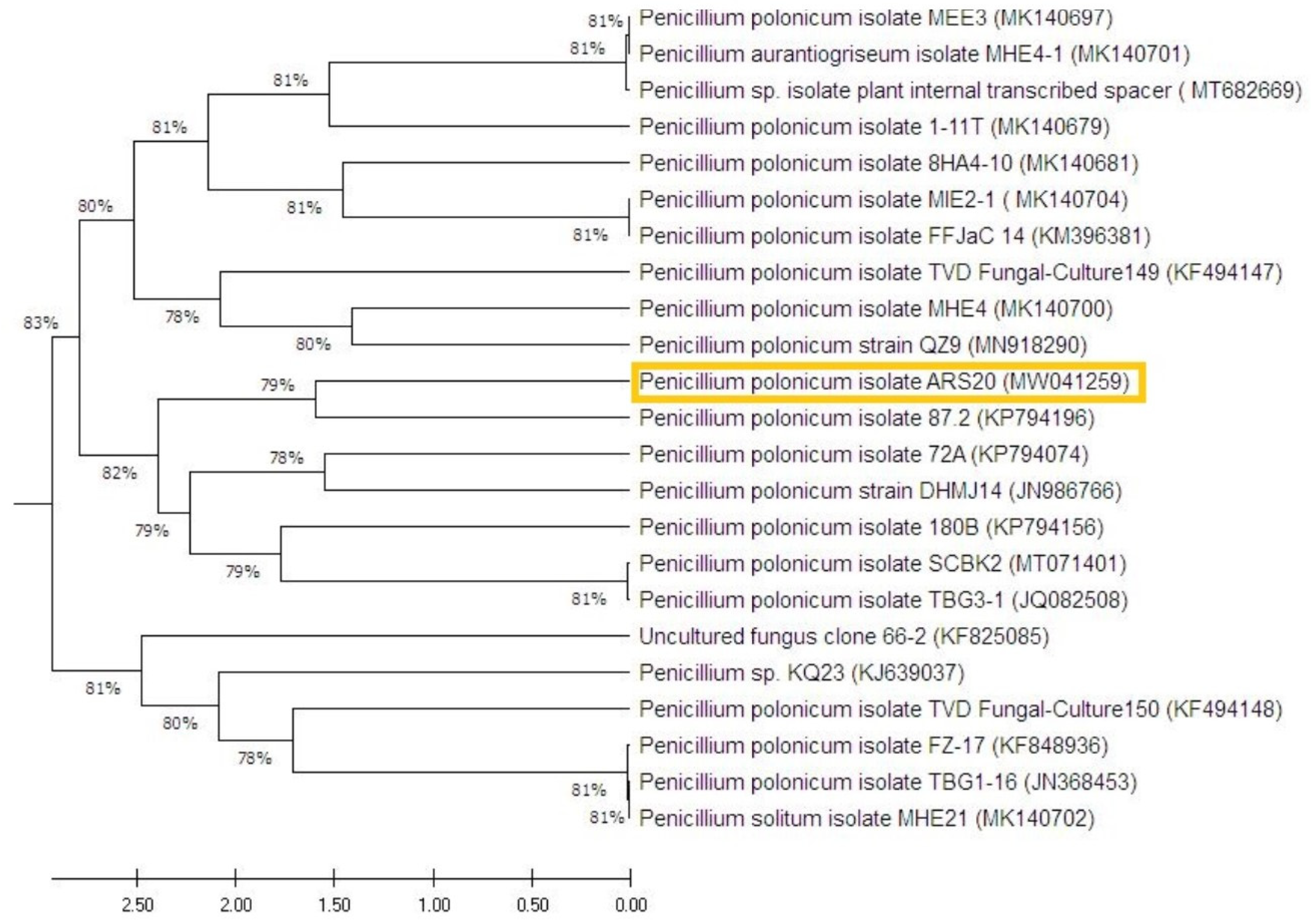 Plants 10 00413 g006