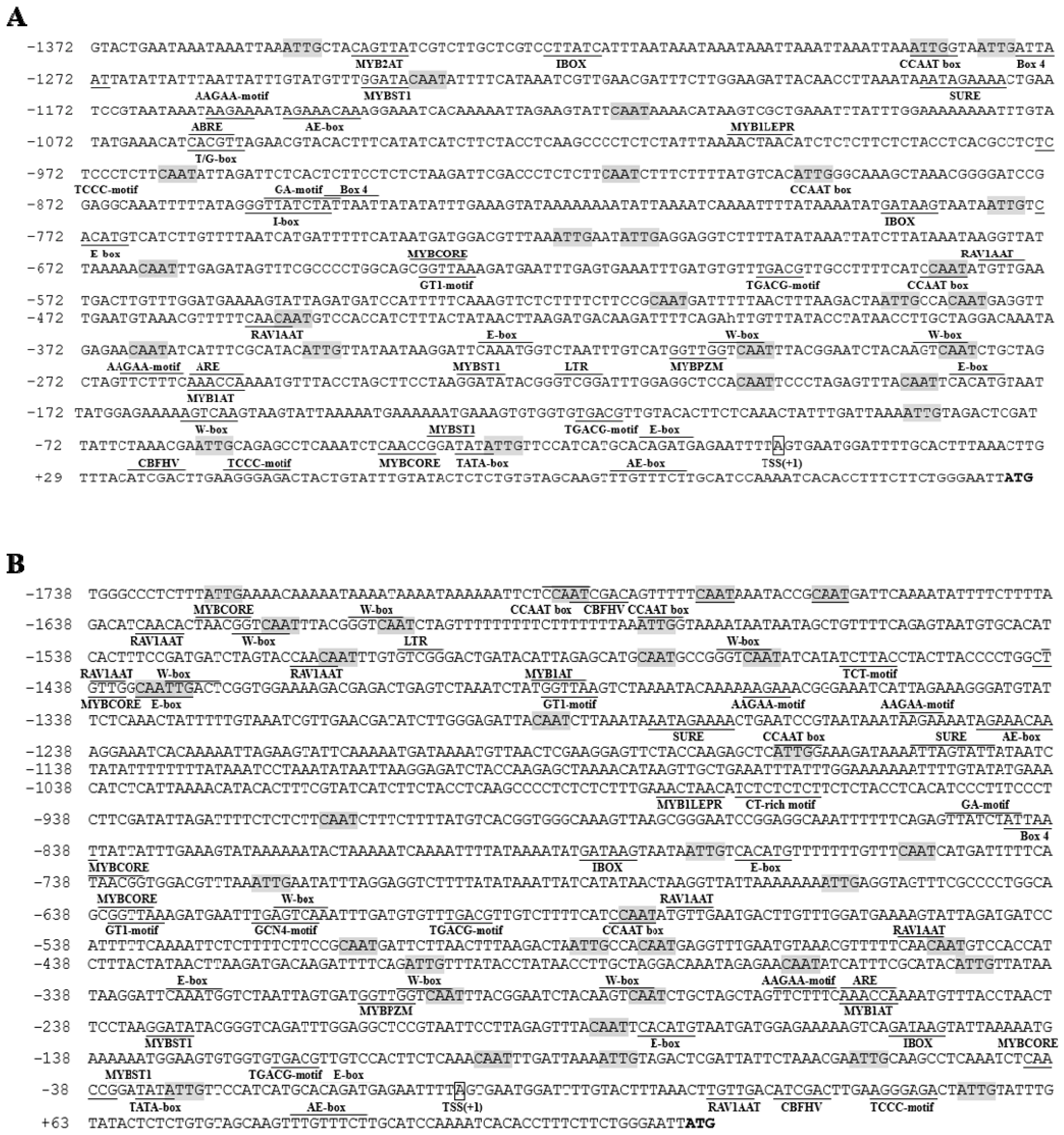 Plants 10 00418 g001 Plants 10 00418 g001