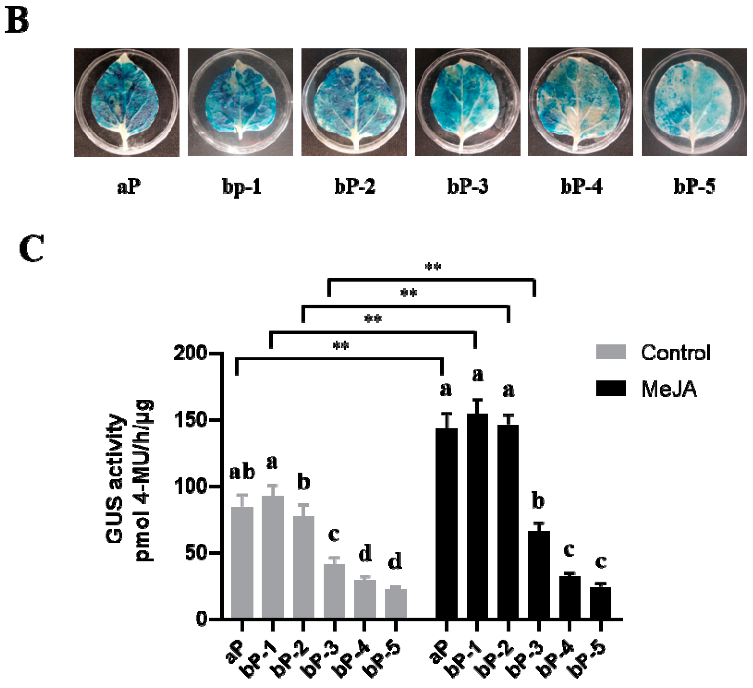 Plants 10 00418 g002b Plants 10 00418 g002b