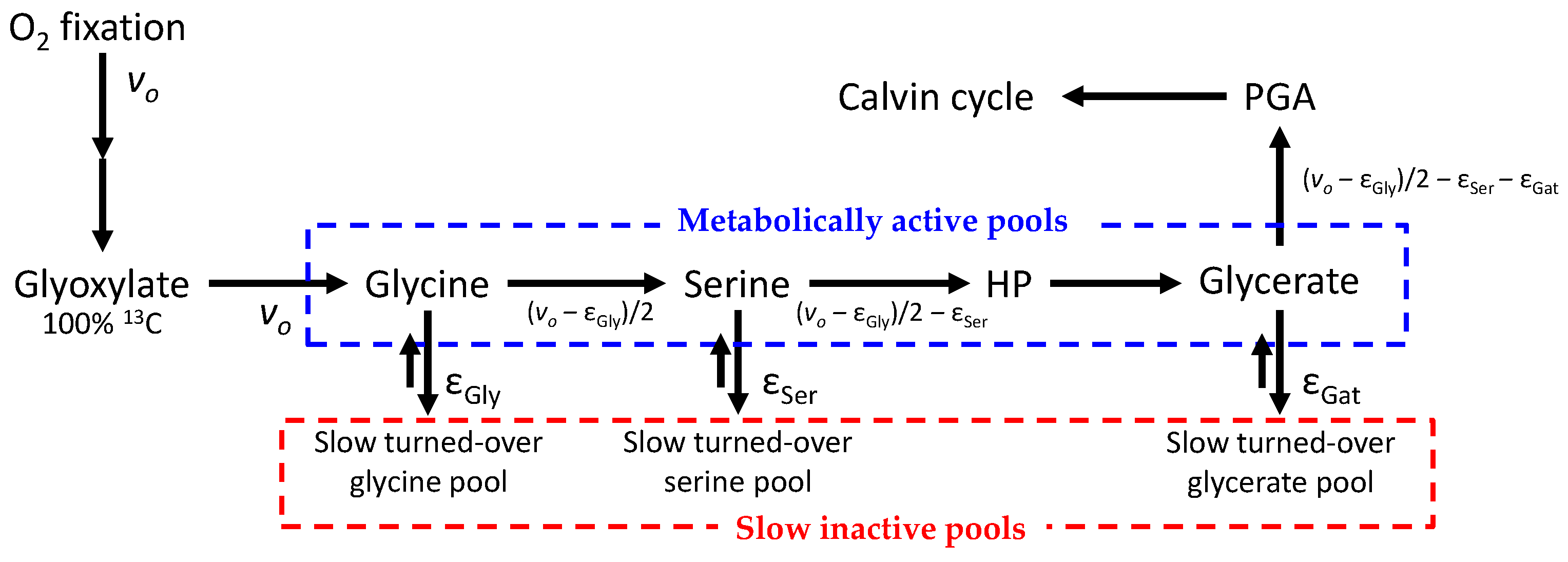 Plants 10 00427 g002
