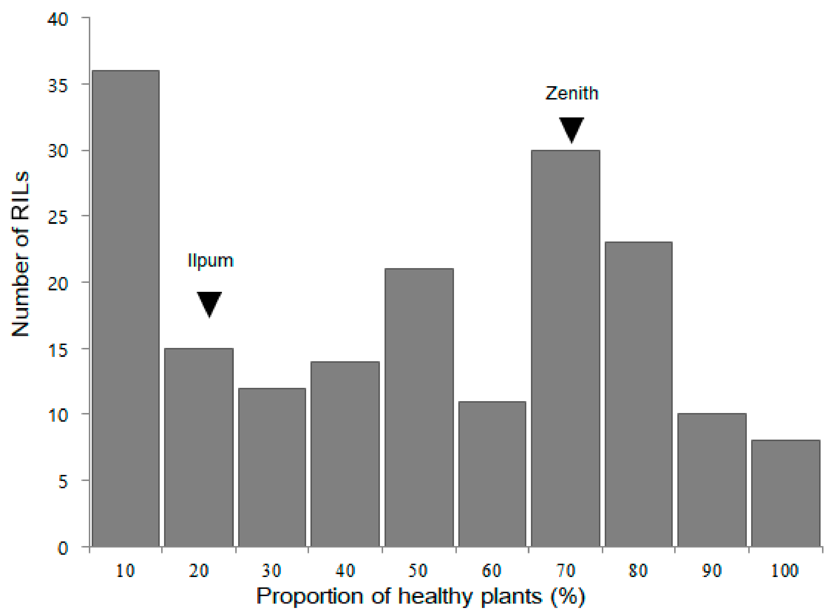 Plants 10 00434 g003