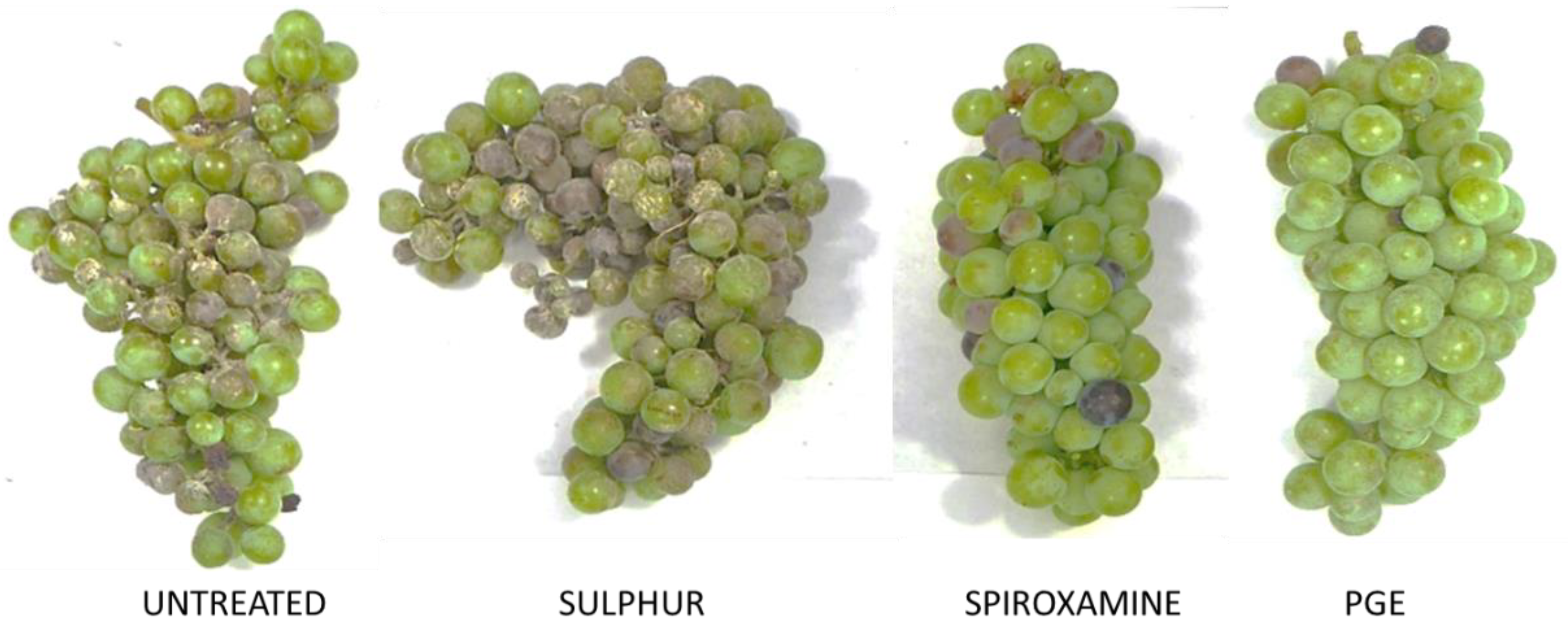 Plants 10 00453 g002 Plants 10 00453 g002