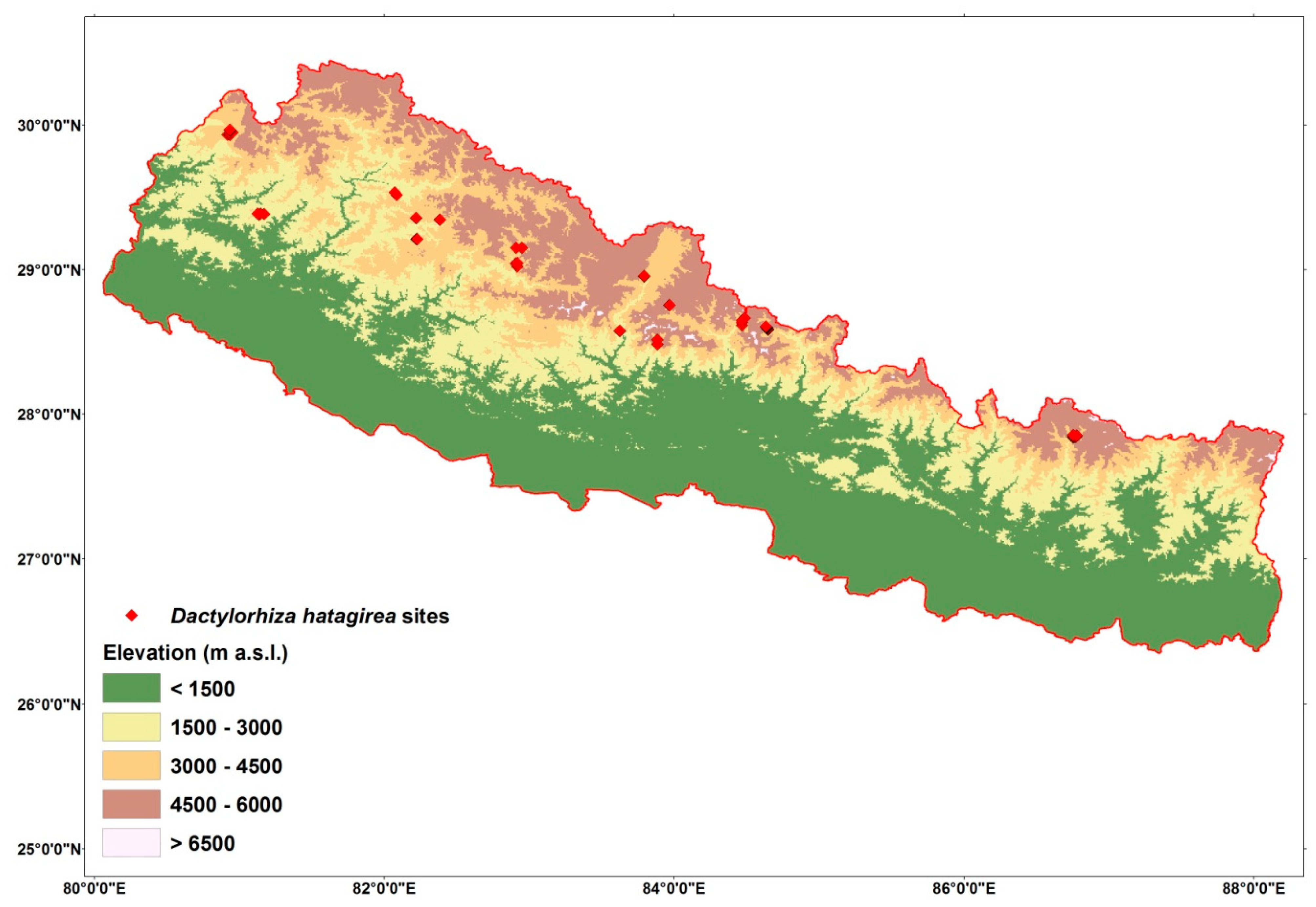 Plants 10 00467 g013 Plants 10 00467 g013