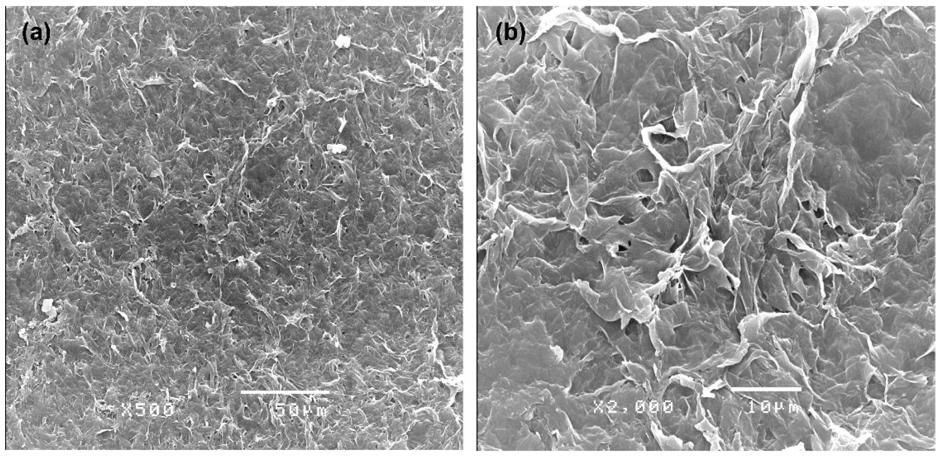 Plants 10 00503 g005 Plants 10 00503 g005