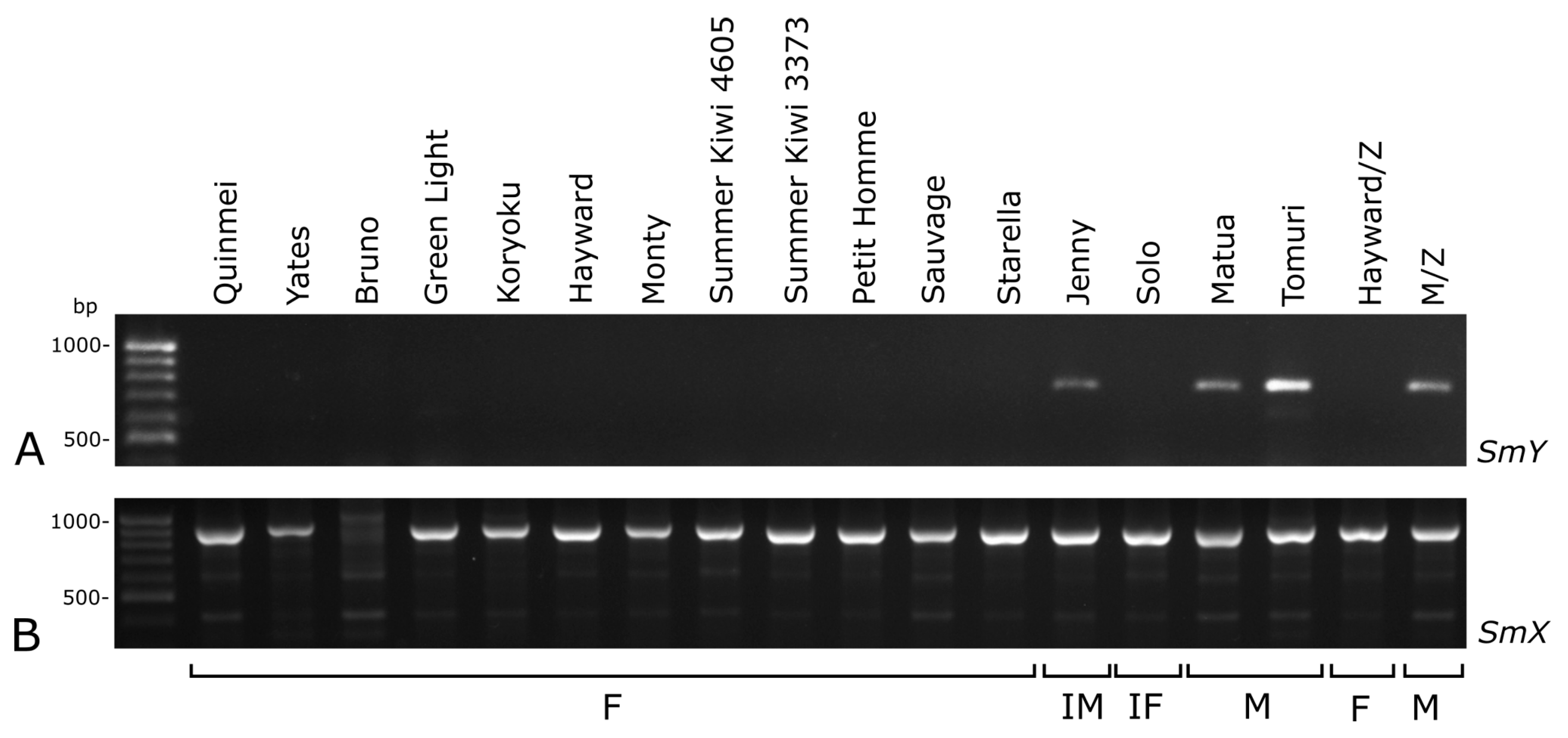 Plants 10 00526 g003
