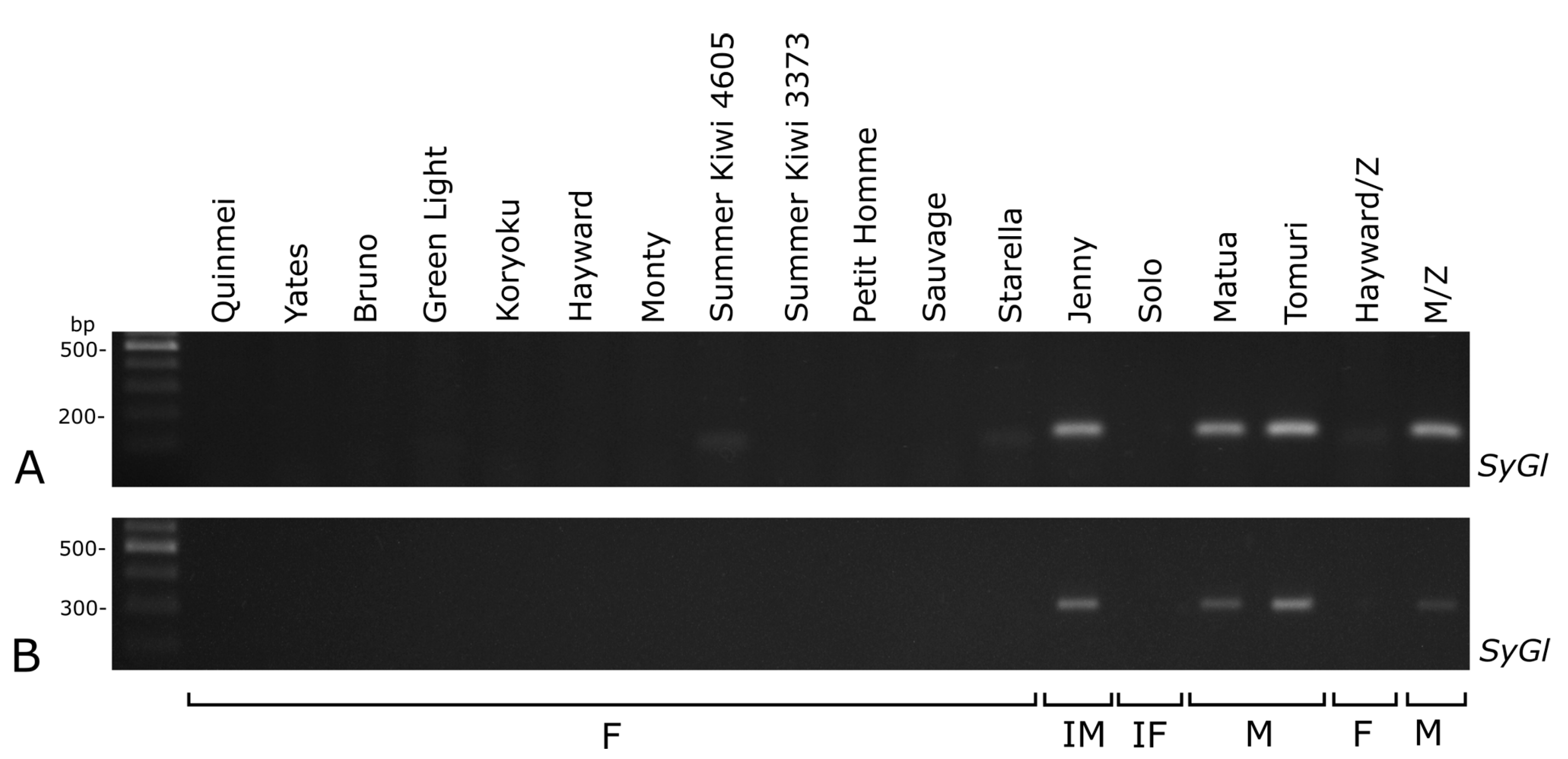 Plants 10 00526 g004