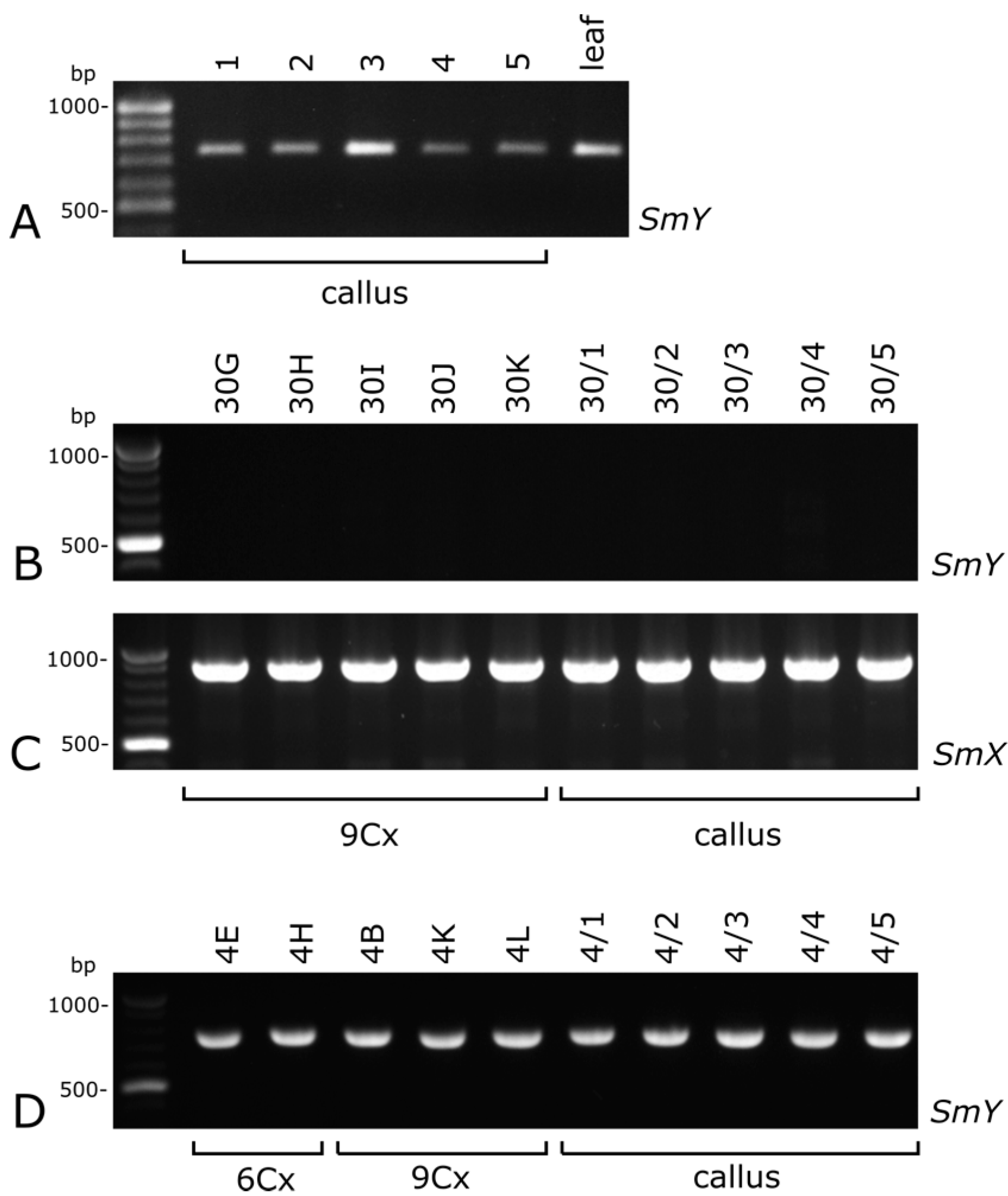 Plants 10 00526 g005