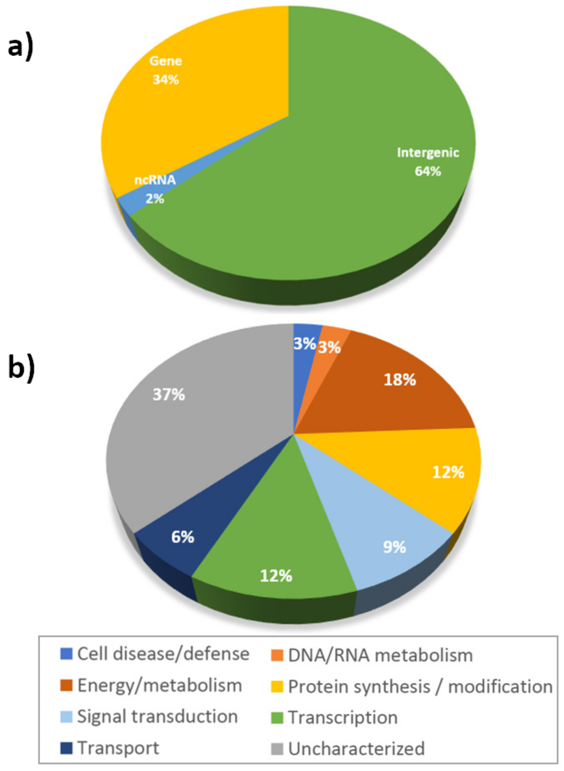 Plants 10 00539 g002 Plants 10 00539 g002