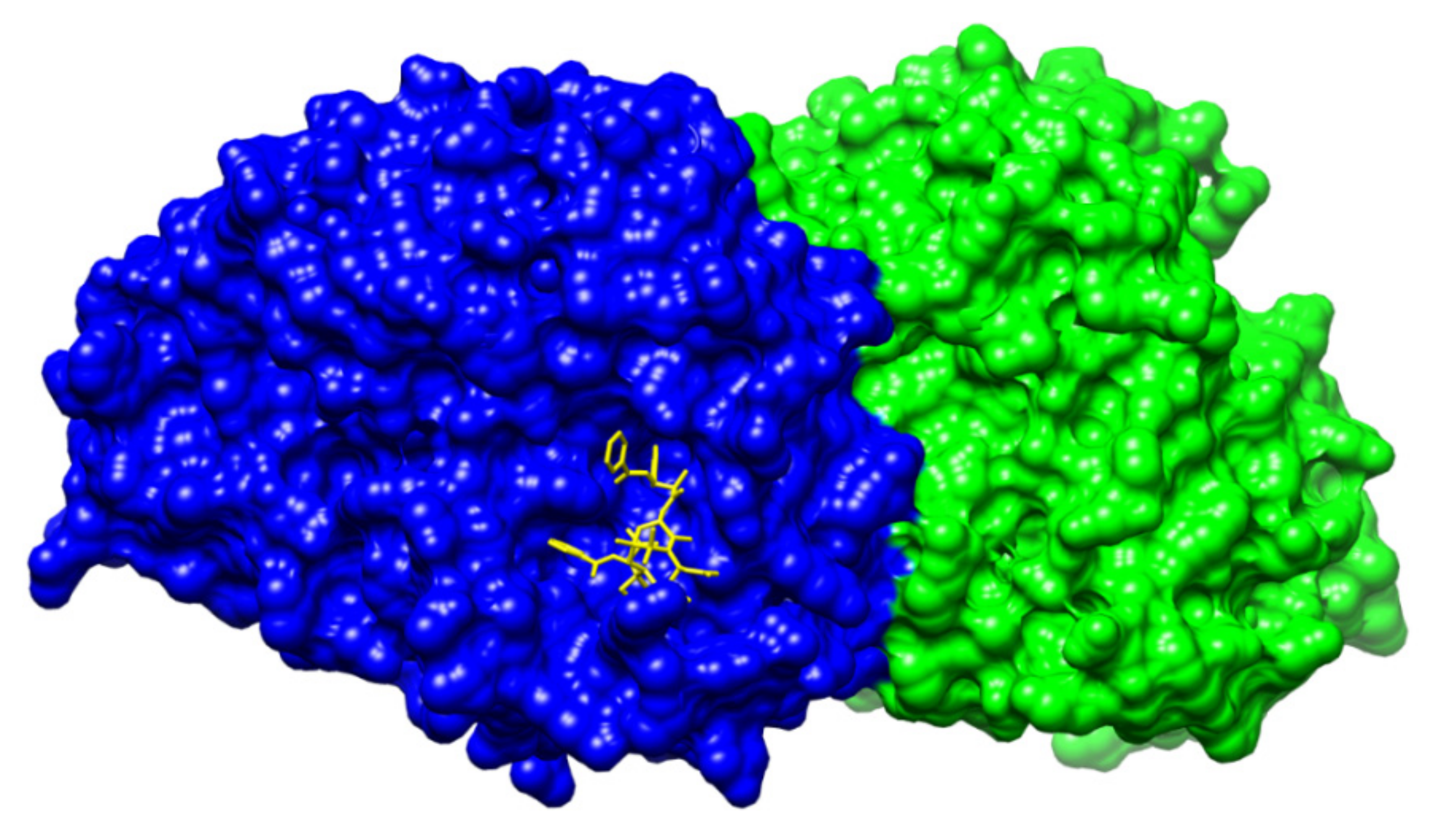 Plants 10 00569 g007 Plants 10 00569 g007