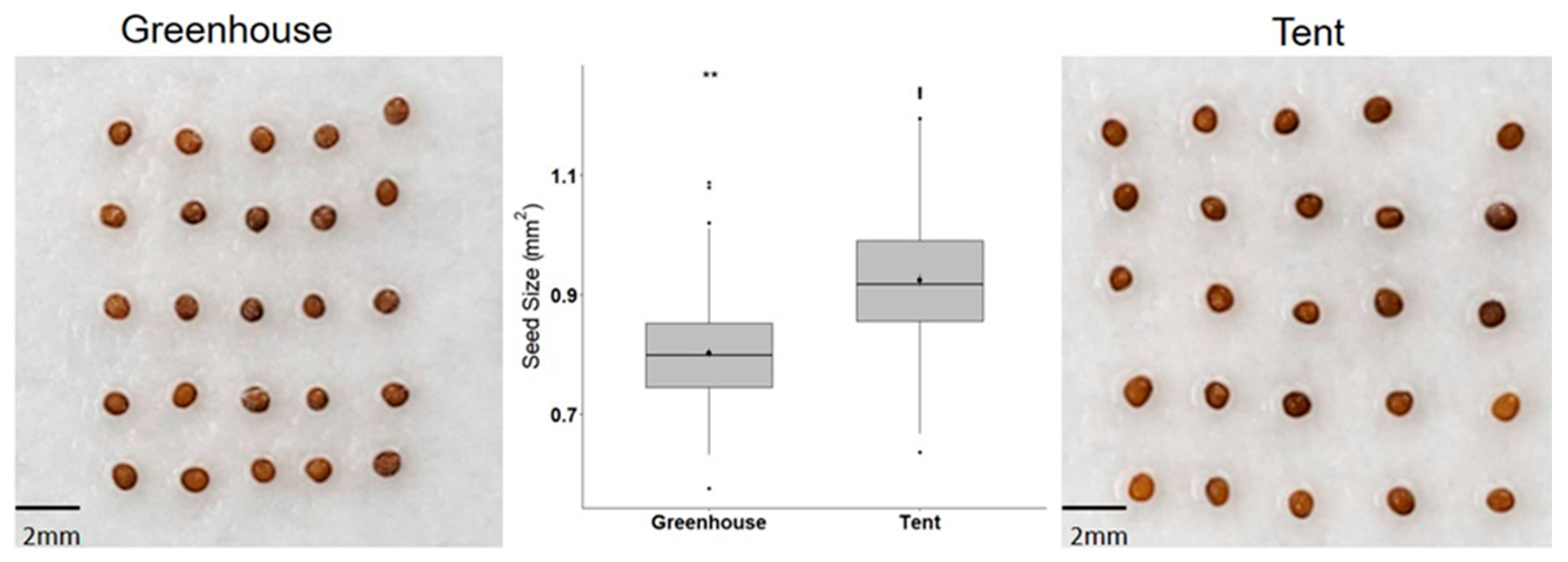 Plants 10 00581 g001