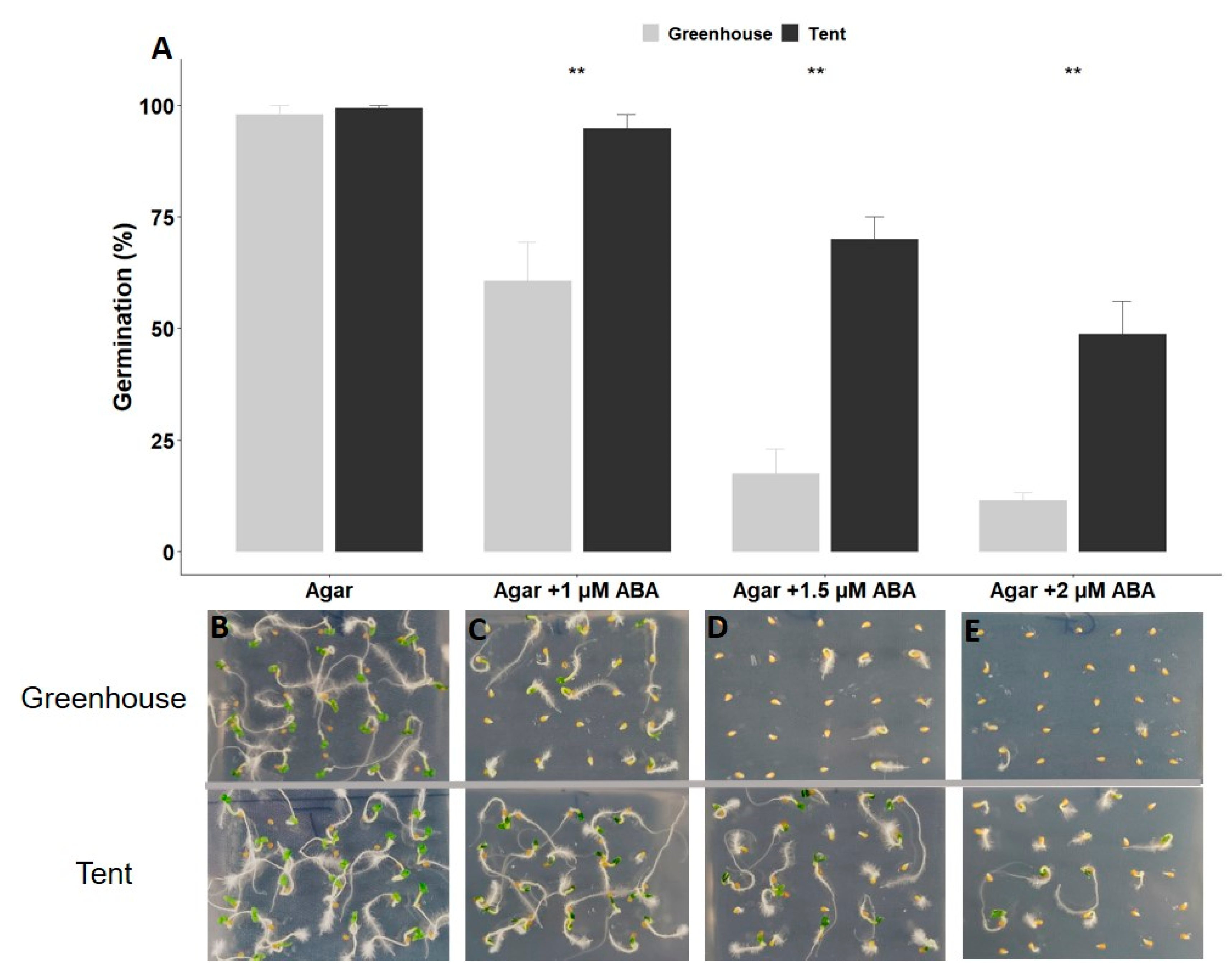 Plants 10 00581 g002