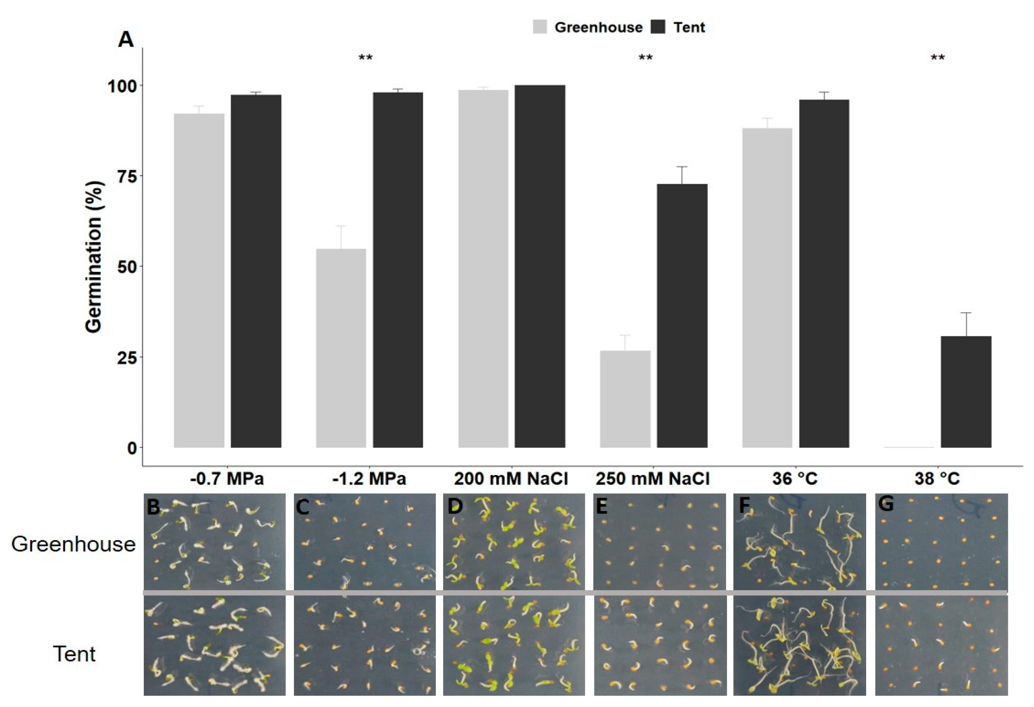 Plants 10 00581 g003