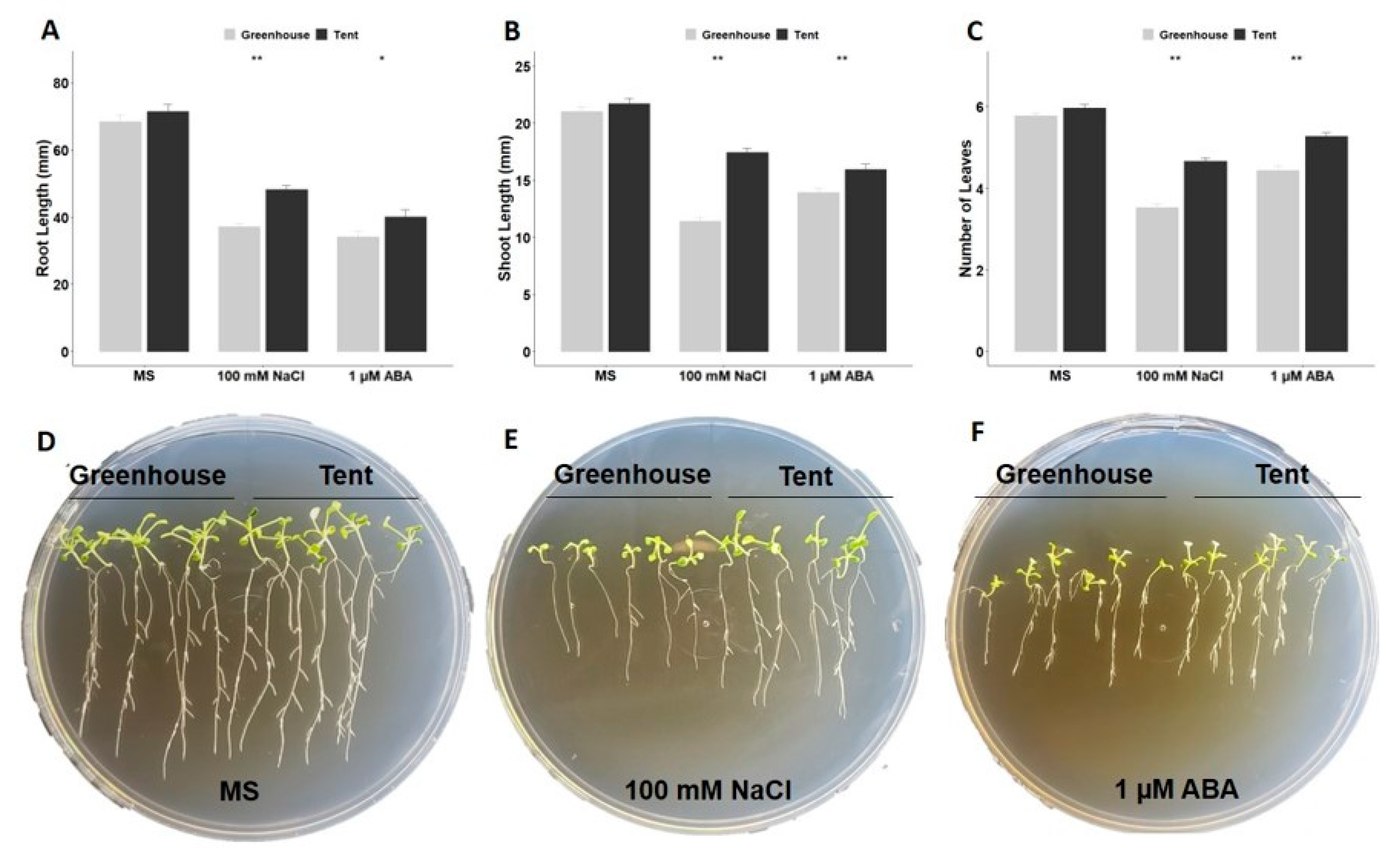 Plants 10 00581 g004