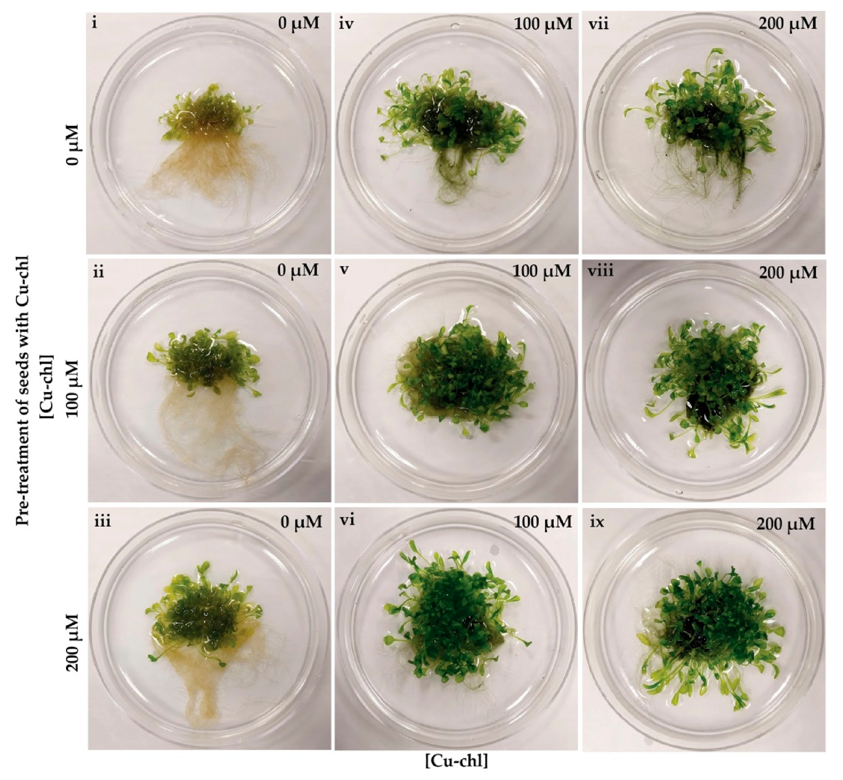 Plants 10 00625 g002