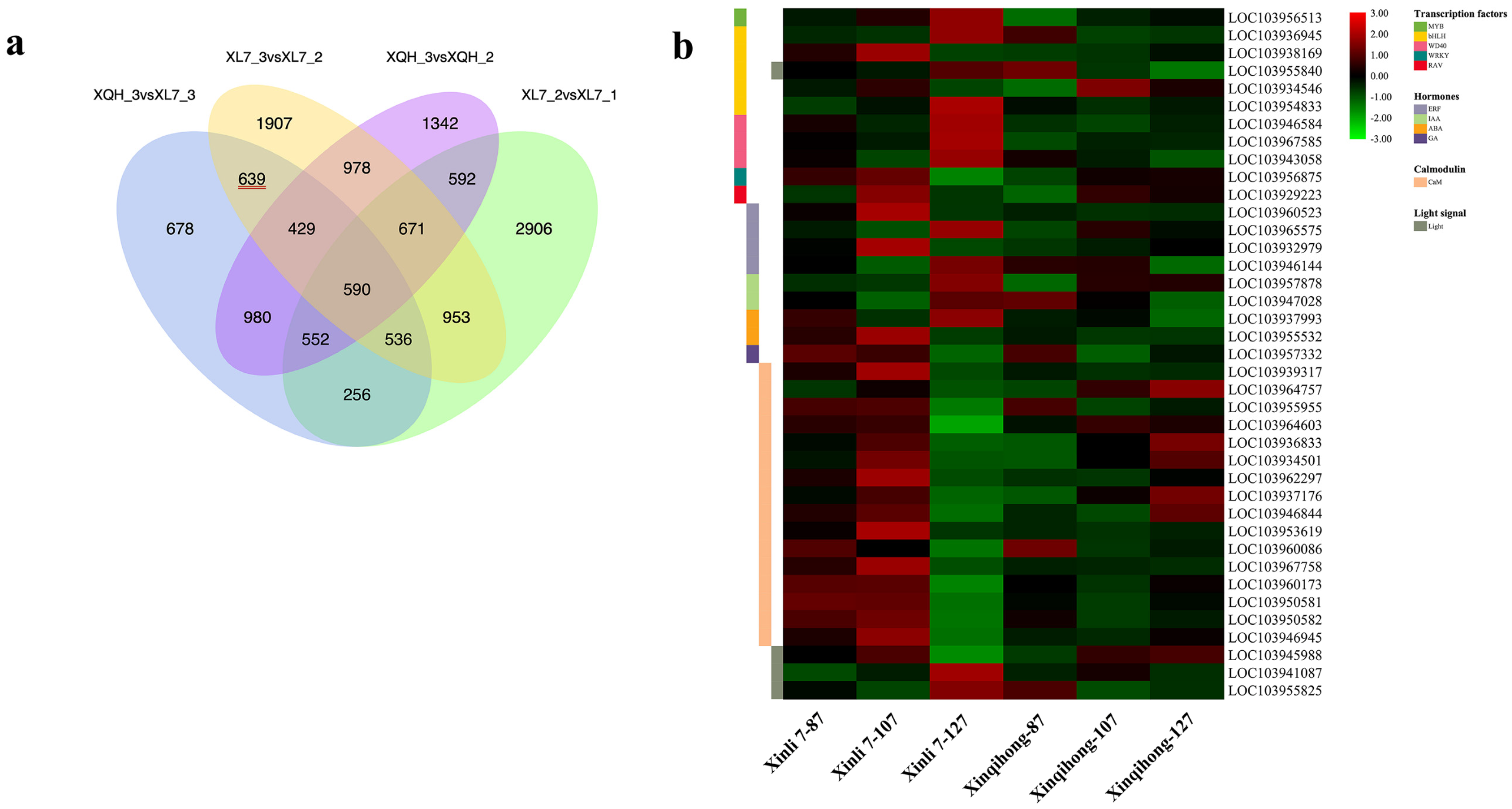 Plants 10 00626 g003 Plants 10 00626 g003