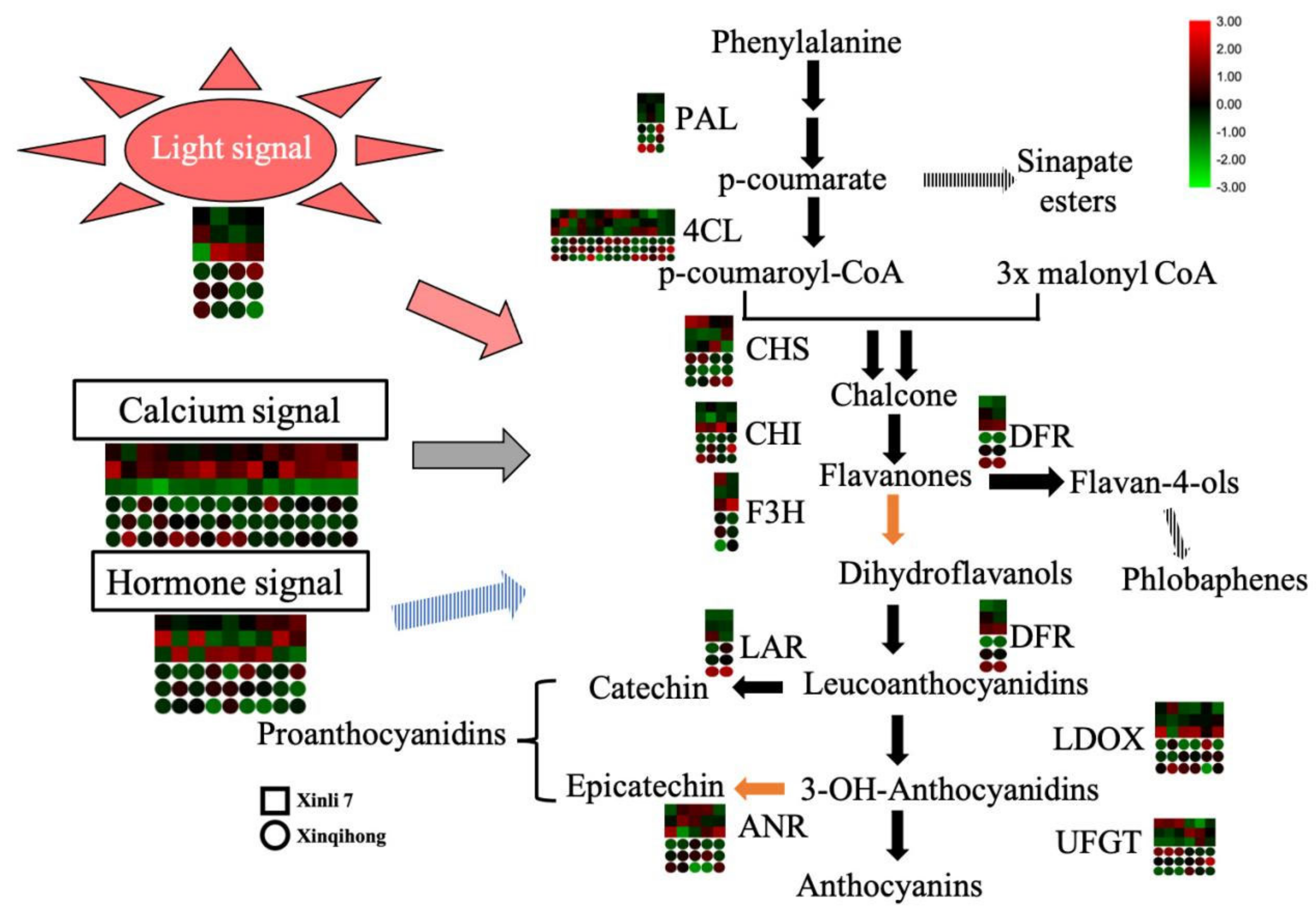 Plants 10 00626 g004 Plants 10 00626 g004