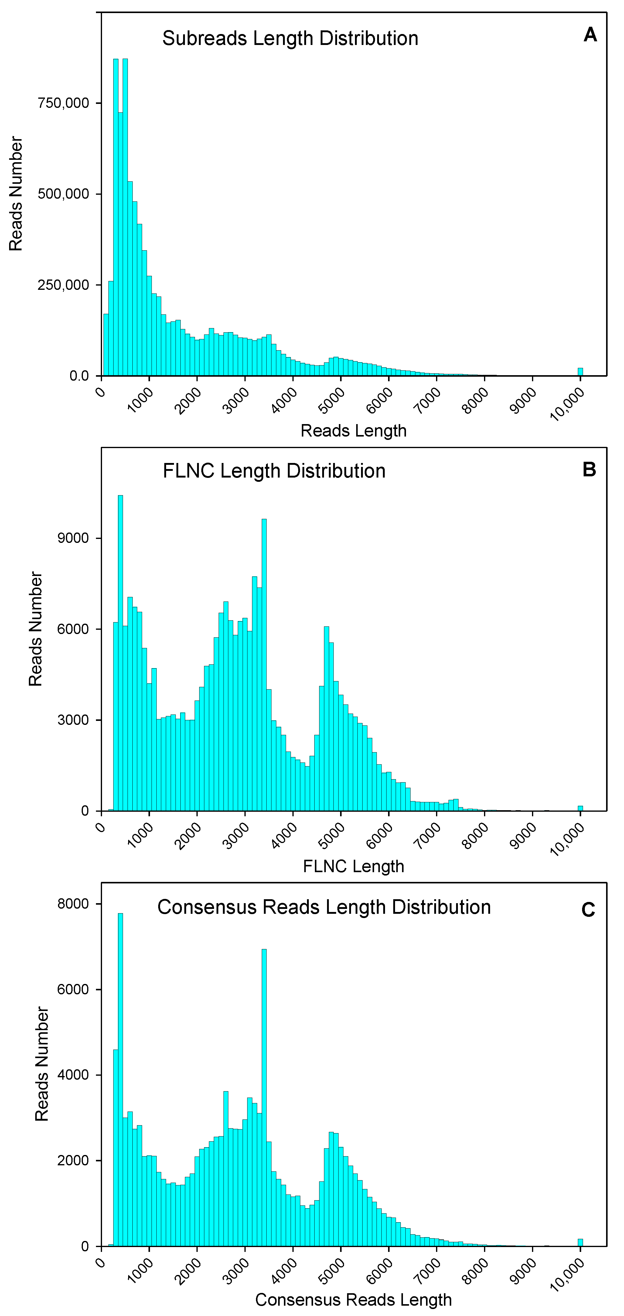 Plants 10 00655 g001