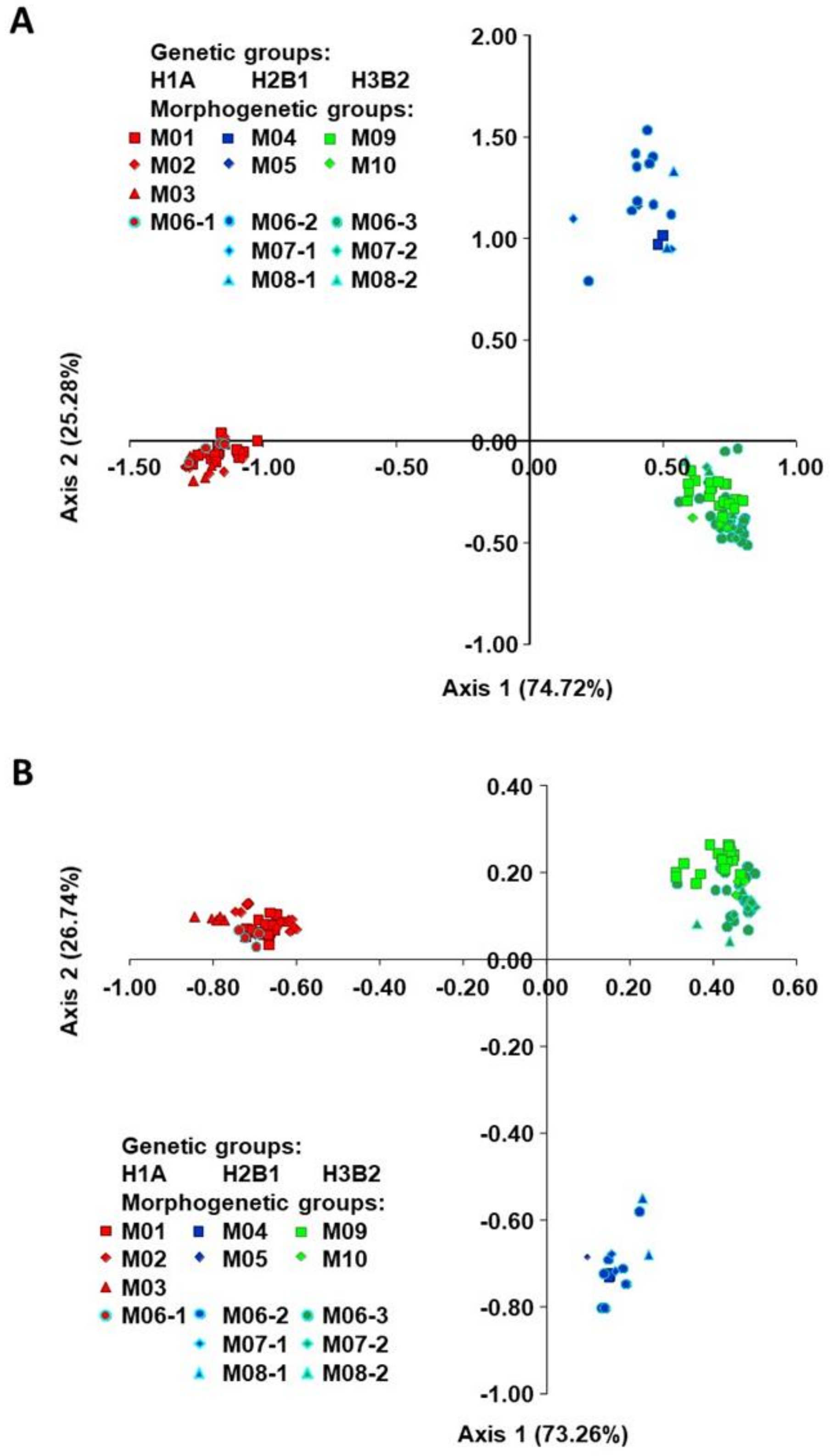 Plants 10 00665 g002 Plants 10 00665 g002