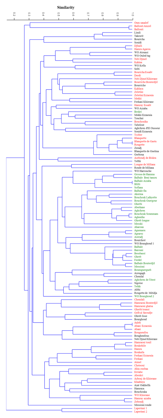 Plants Free Full Text Algerian Olive Germplasm And Its Relationships With The Central Western Mediterranean Varieties Contributes To Clarify Cultivated Olive Diversification Html