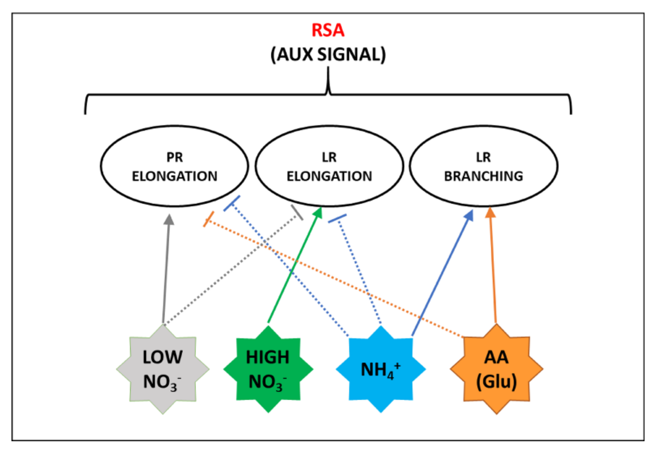 Plants 10 00681 g004