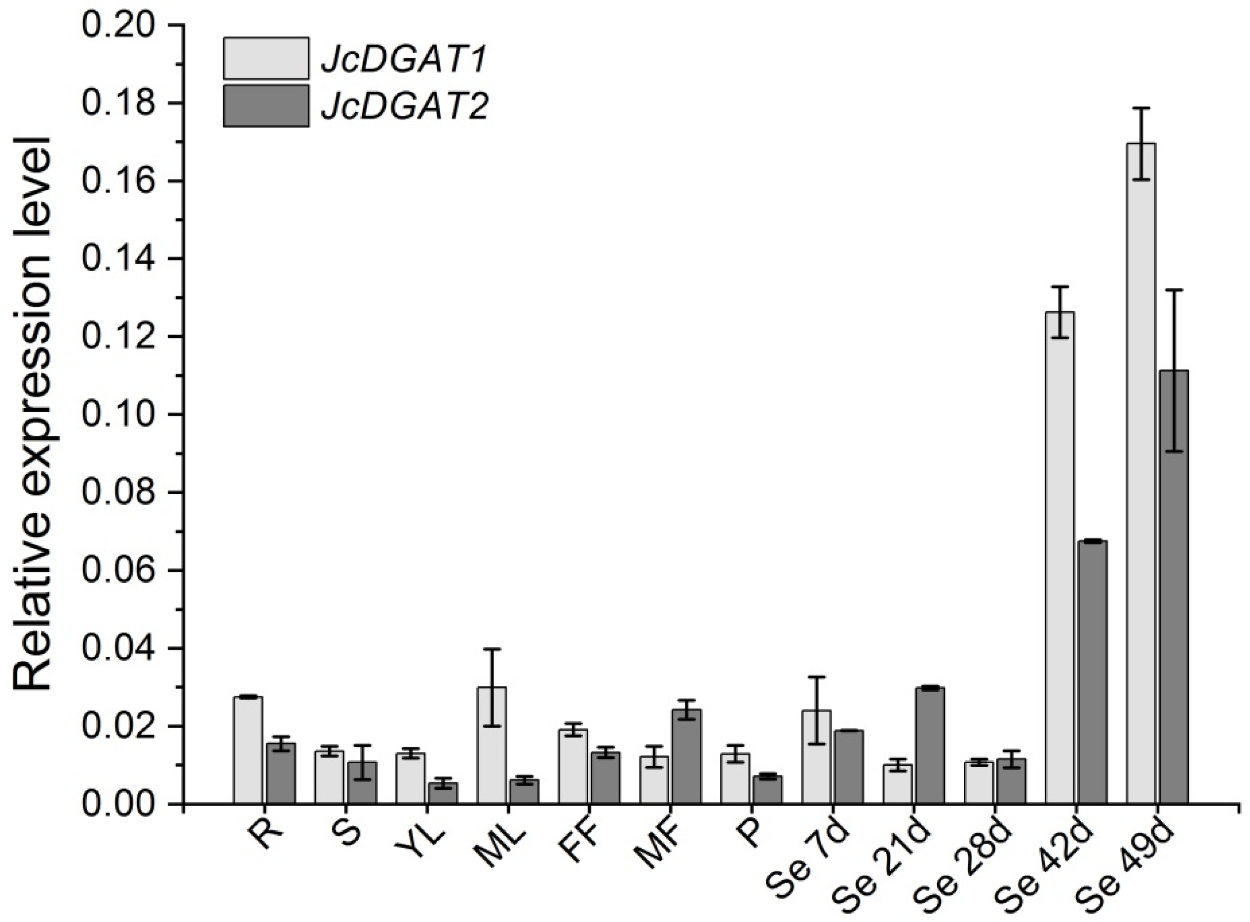 Plants 10 00699 g001 Plants 10 00699 g001