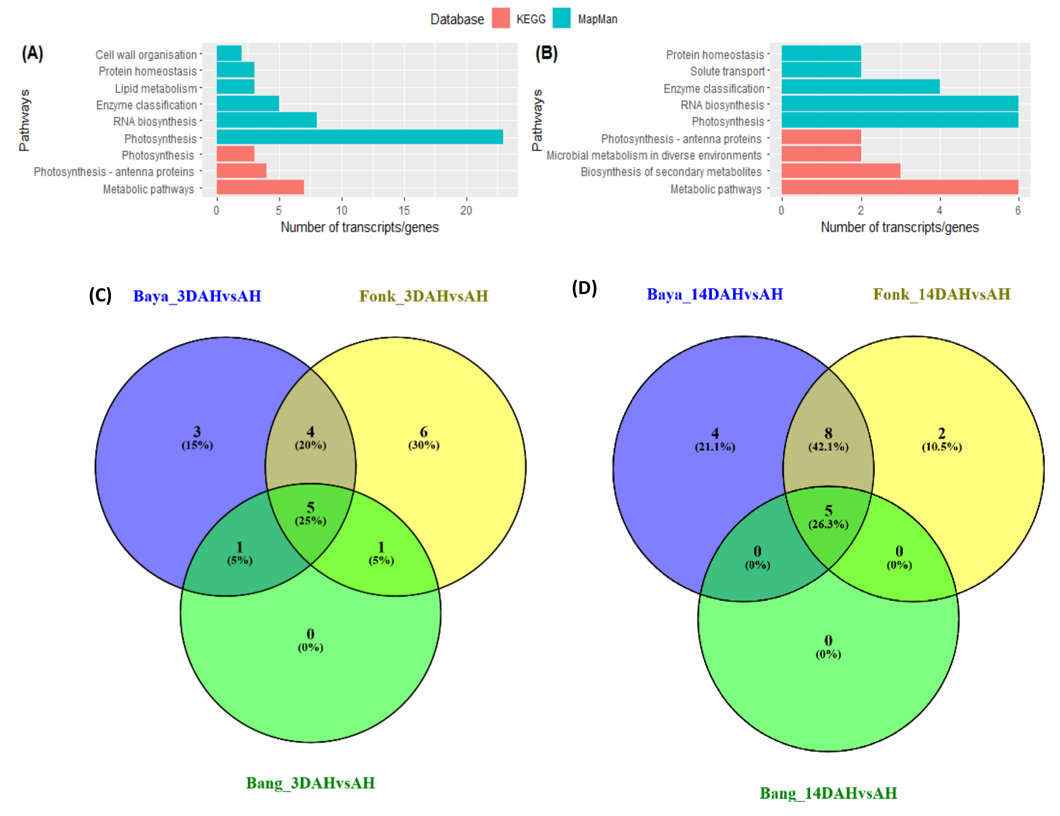 Plants 10 00787 g005