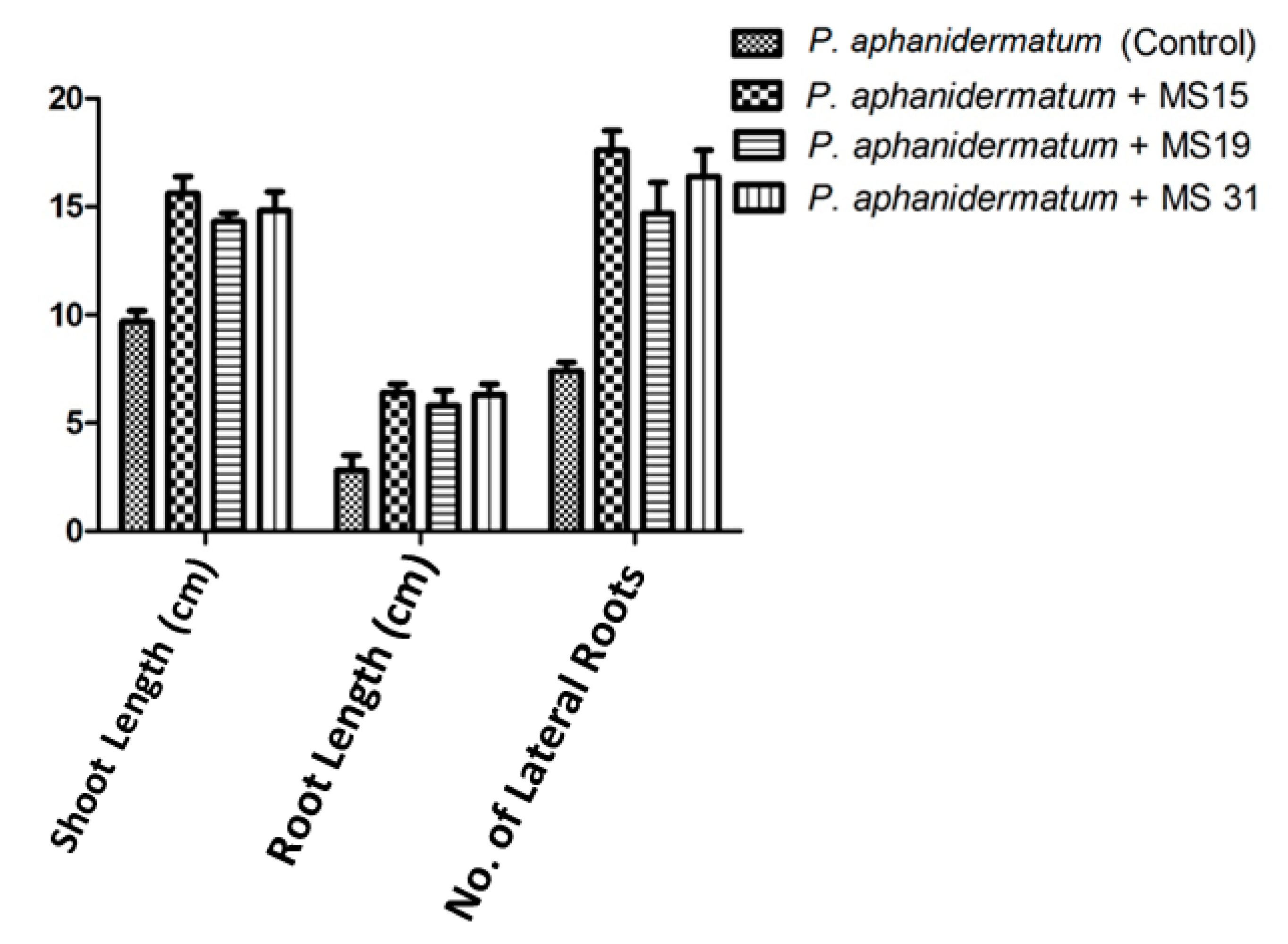 Plants 10 00788 g005 Plants 10 00788 g005
