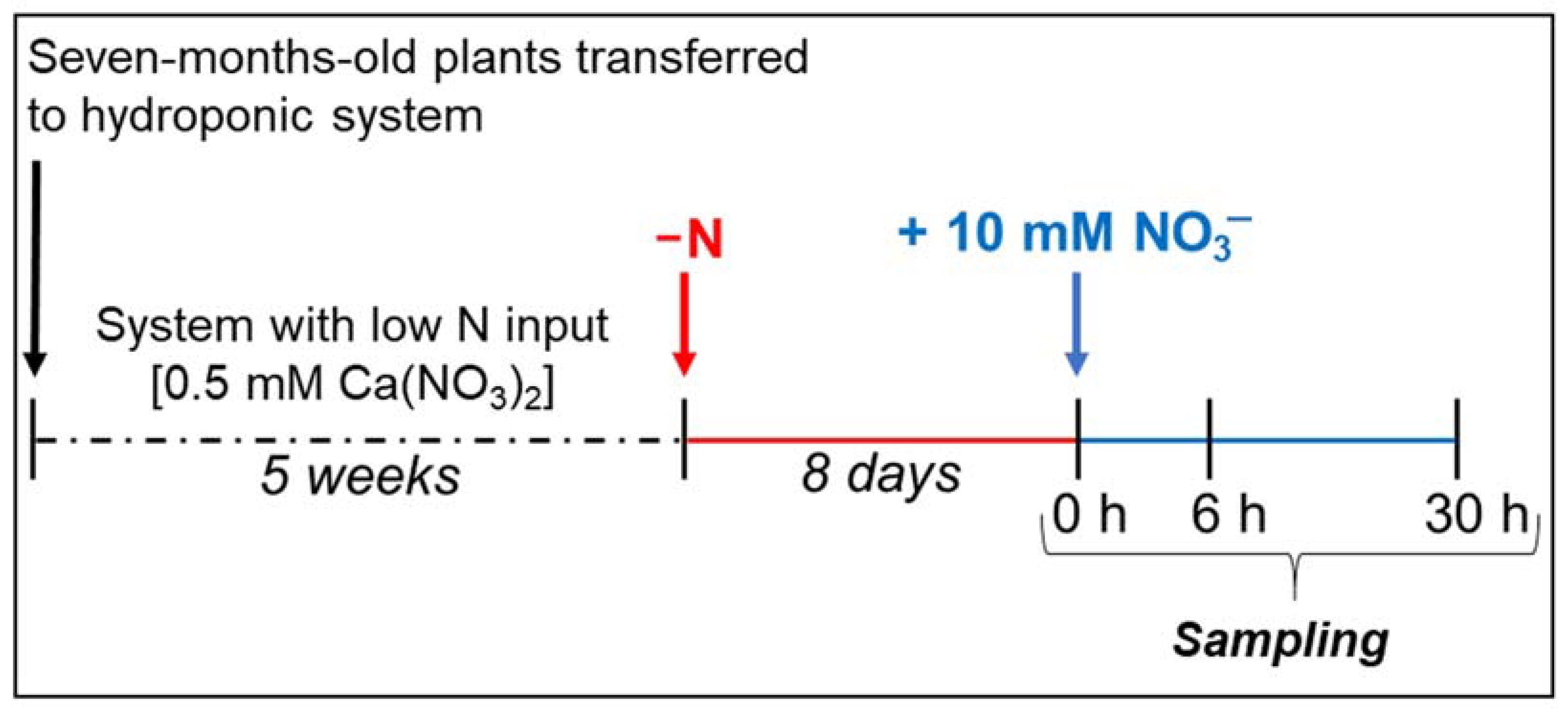 Plants 10 00792 g004 Plants 10 00792 g004