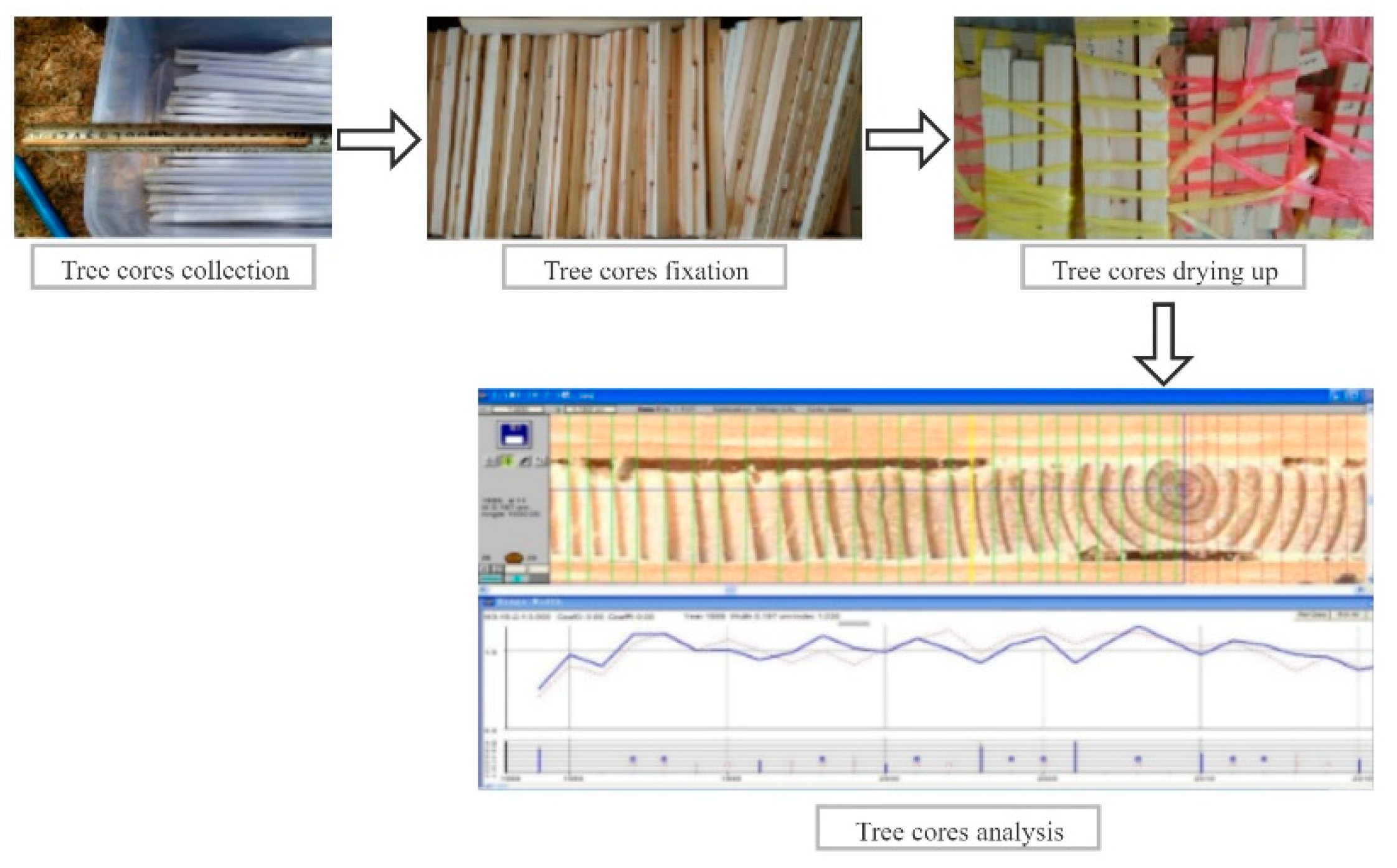 Plants 10 00821 g006 Plants 10 00821 g006