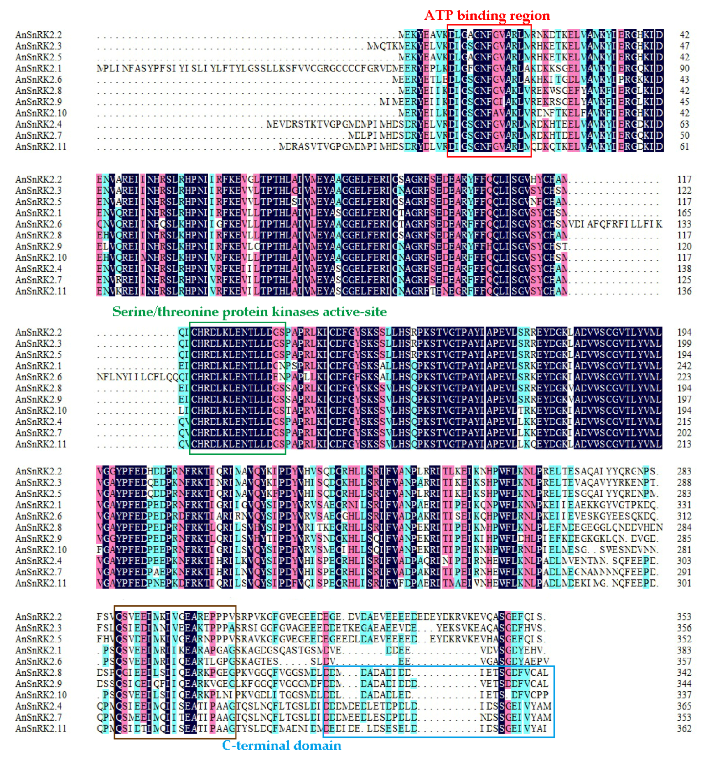 Plants 10 00882 g001