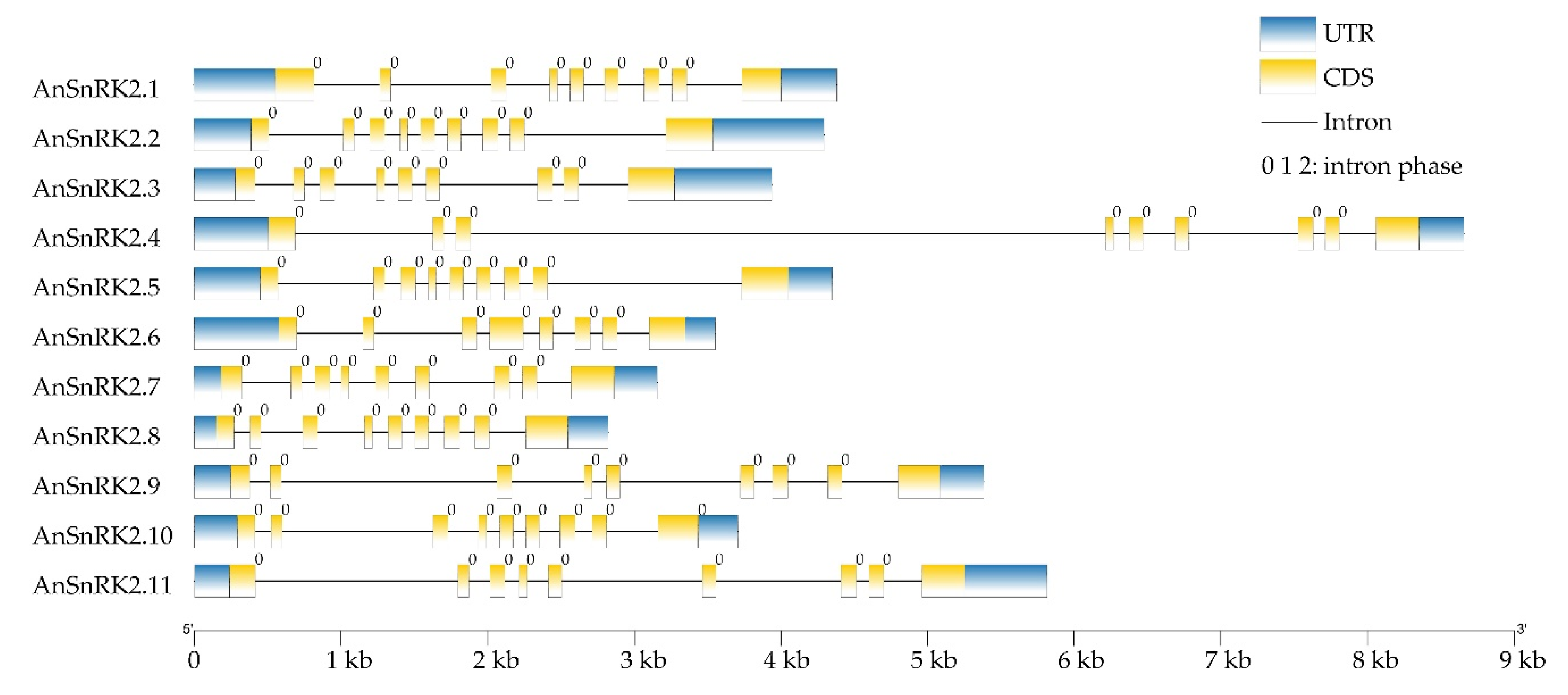 Plants 10 00882 g003
