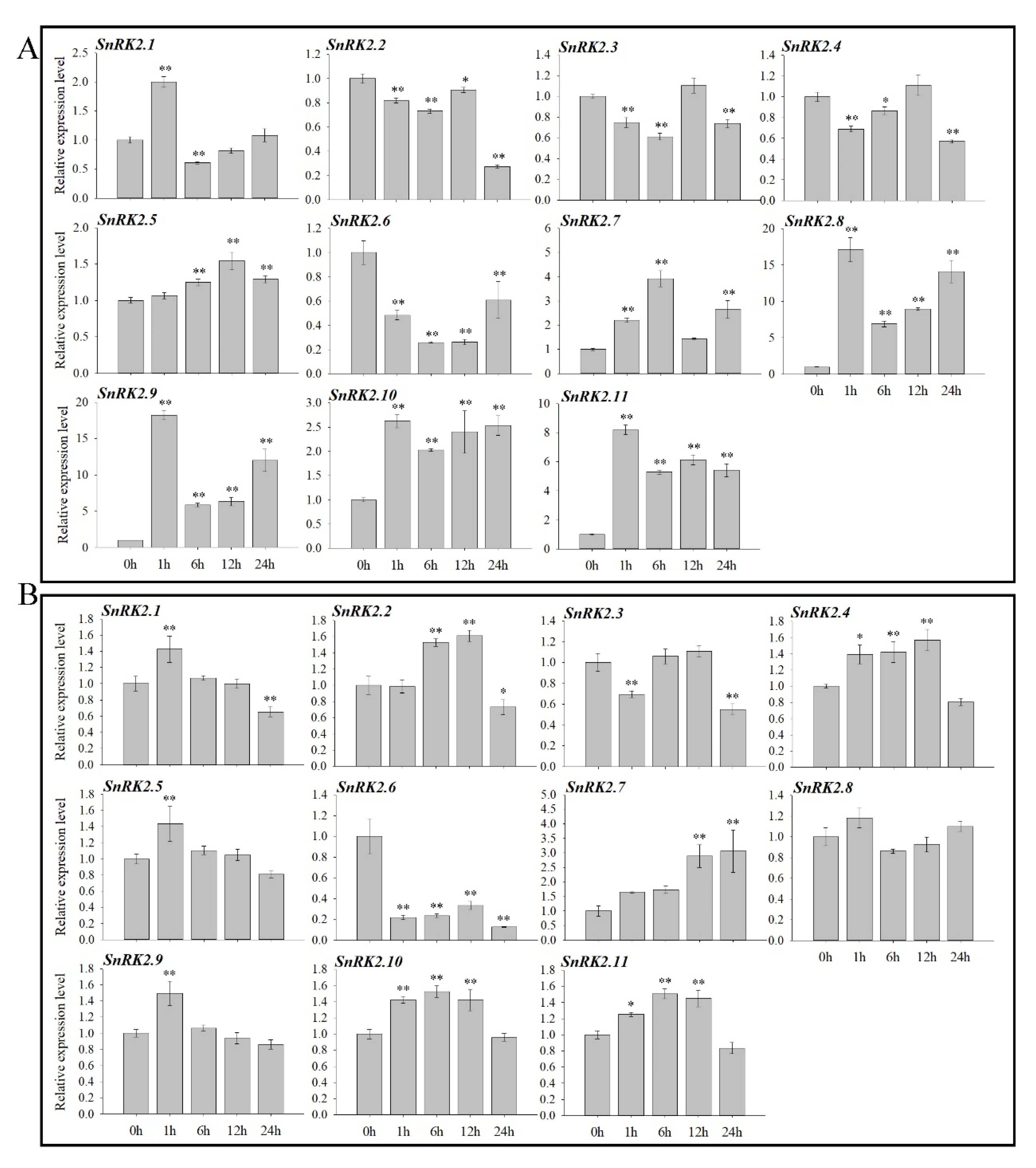 Plants 10 00882 g006