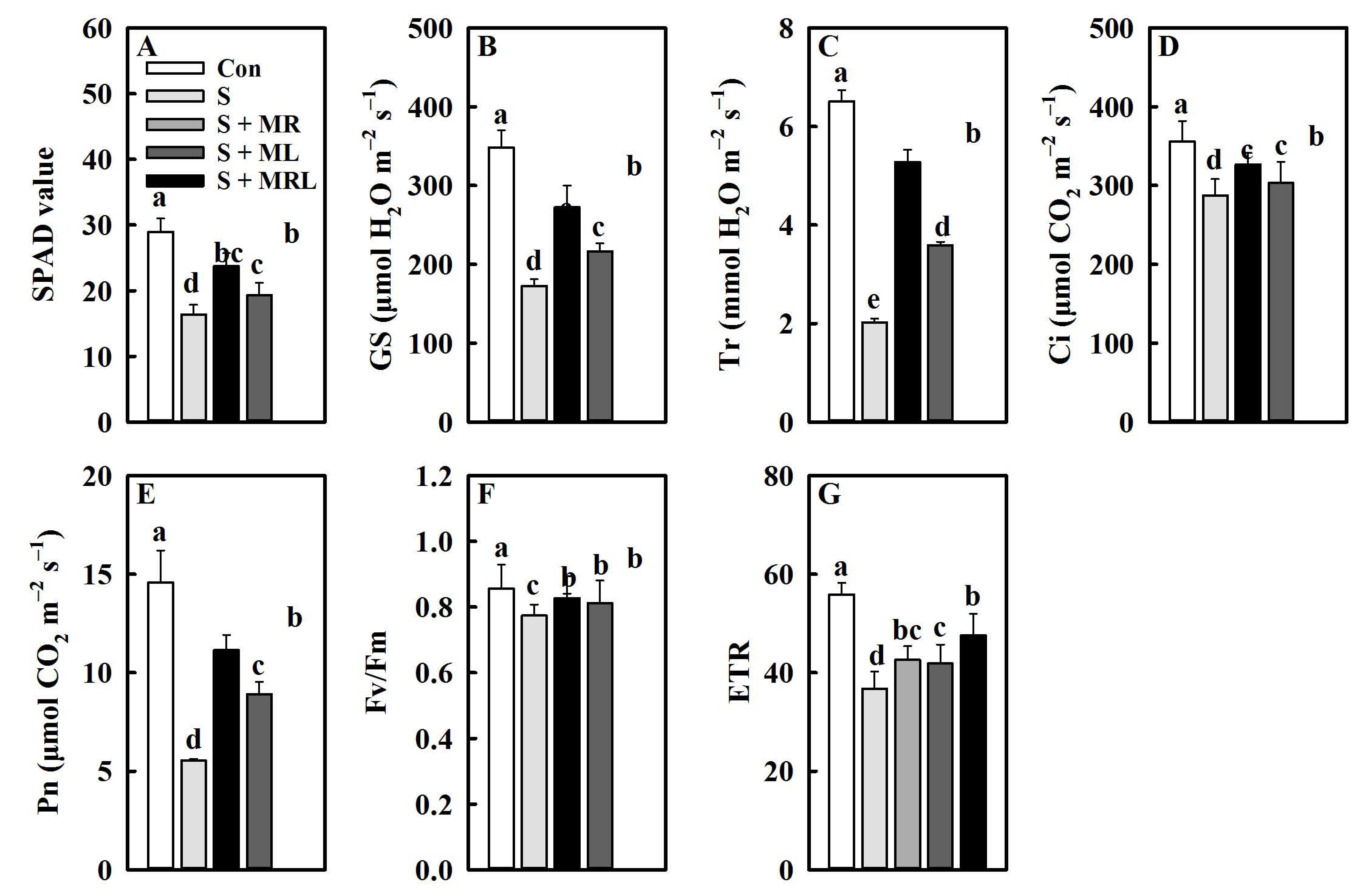 Plants 10 00886 g002