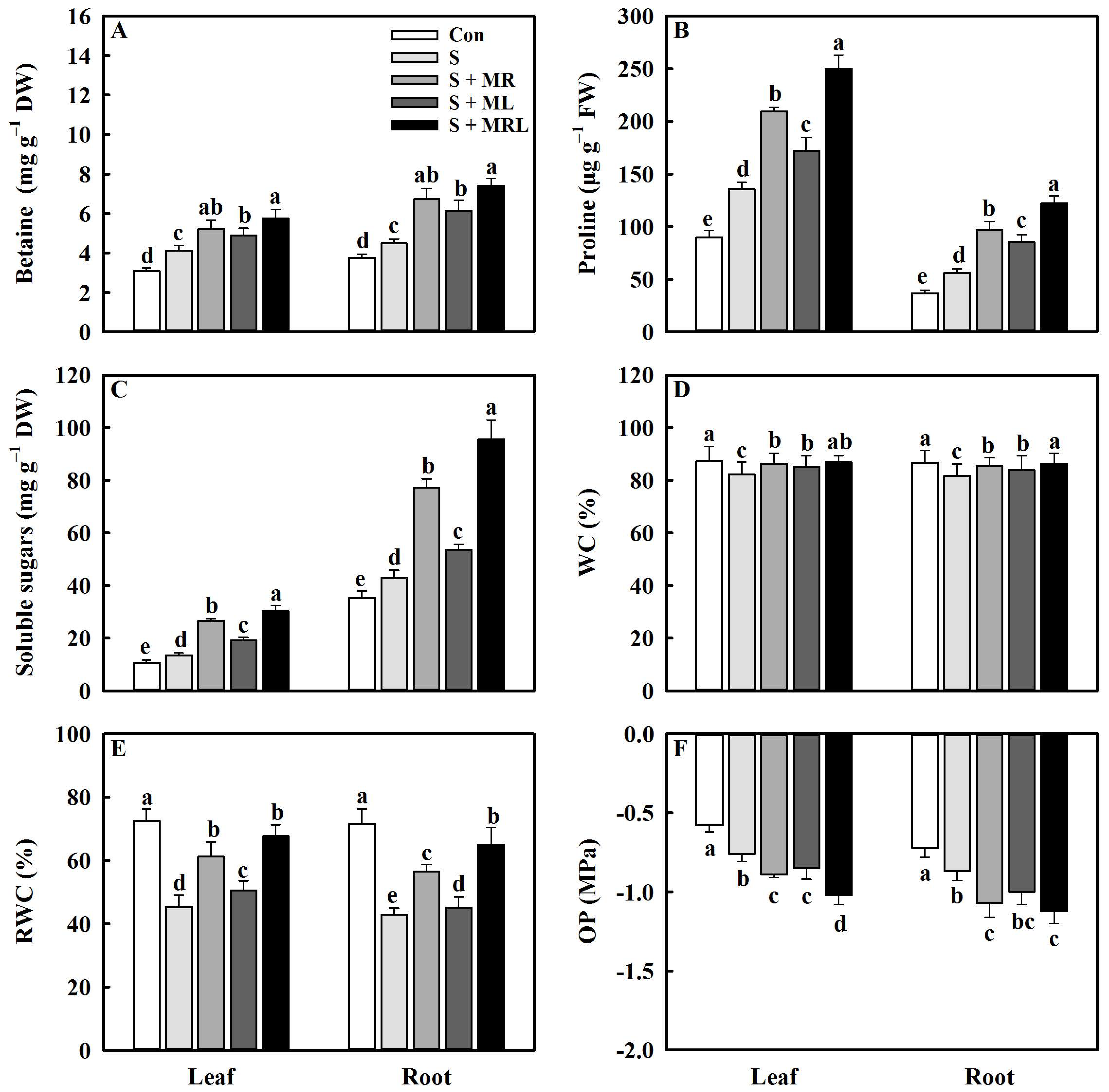 Plants 10 00886 g003