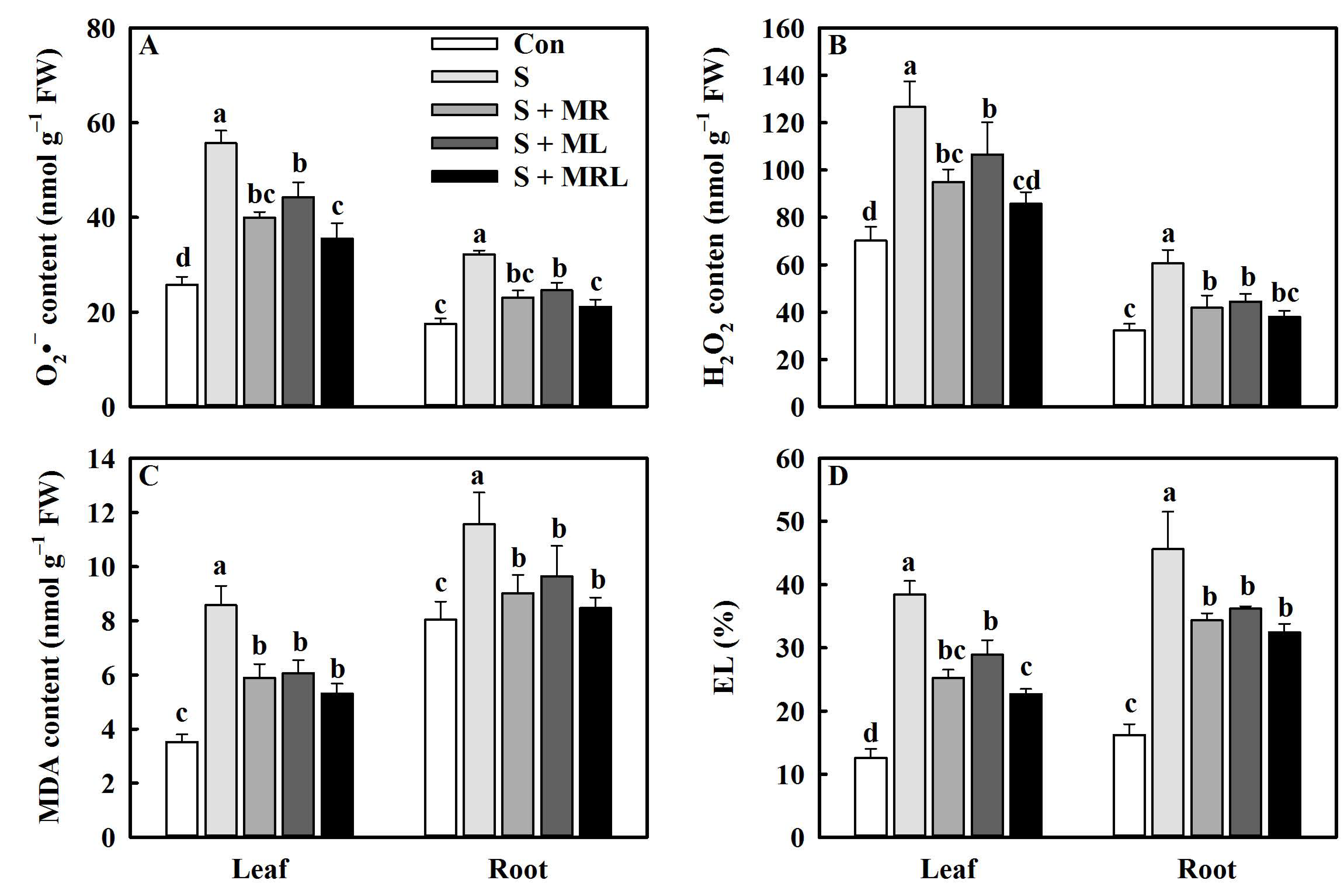 Plants 10 00886 g005