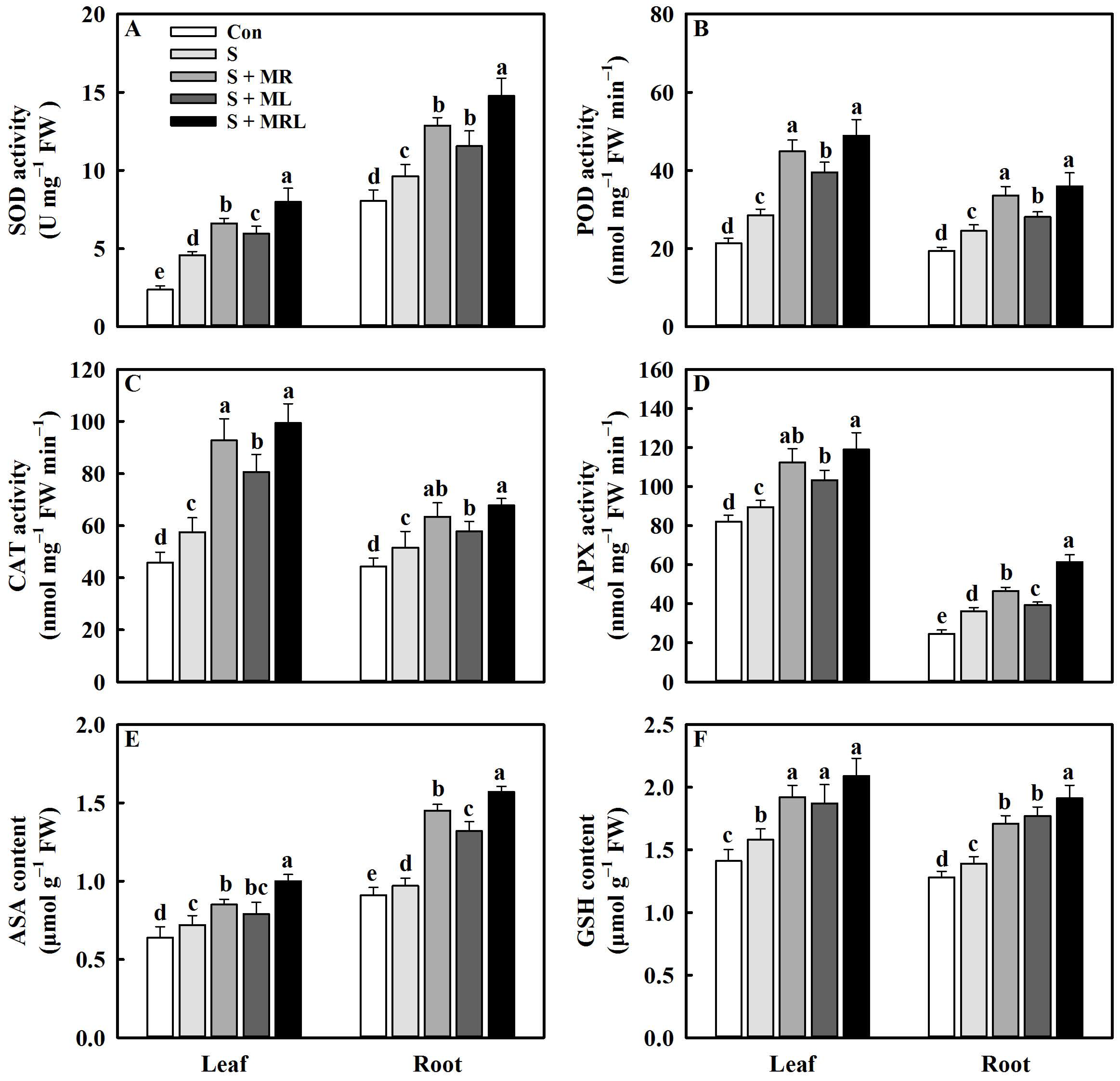 Plants 10 00886 g006