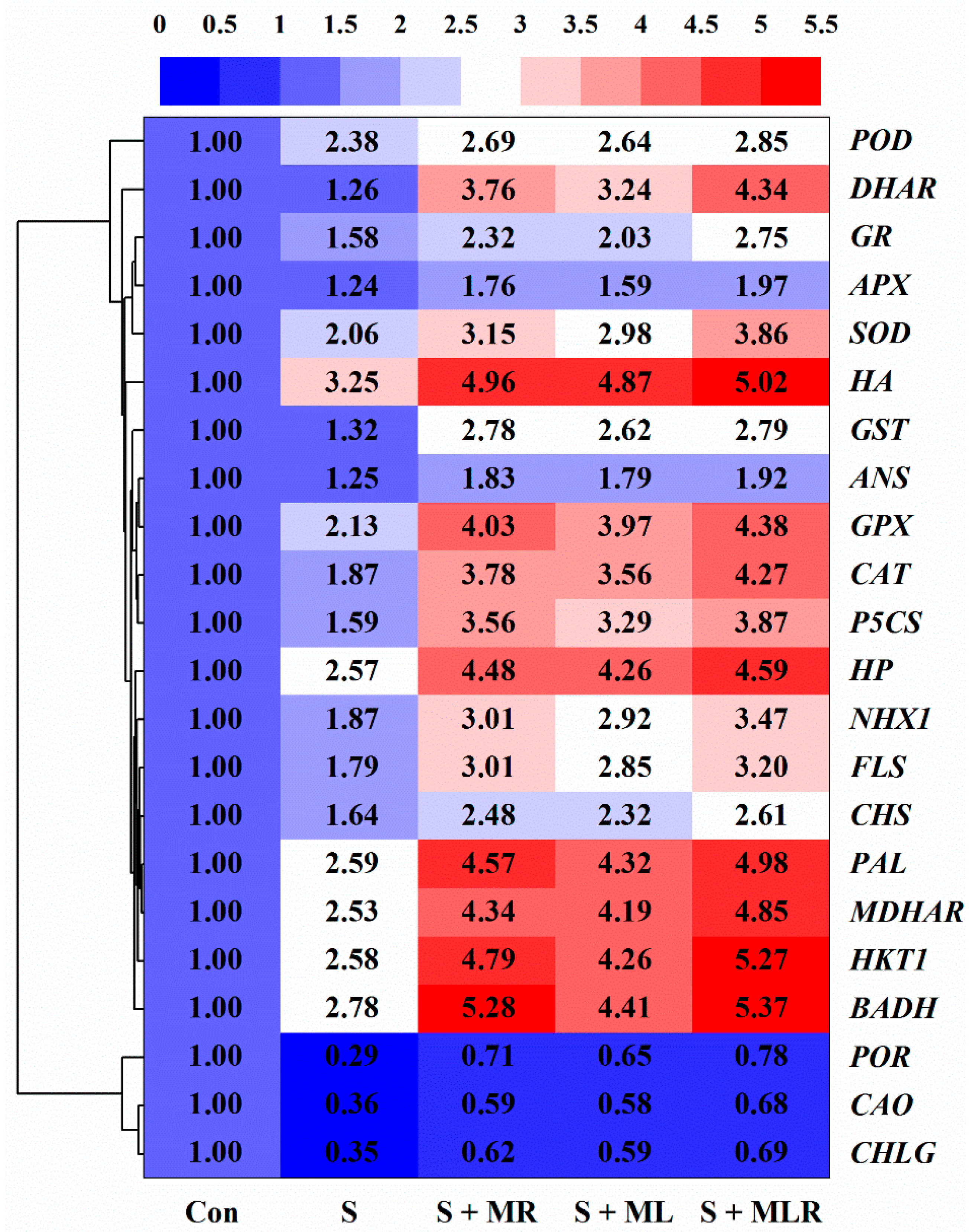 Plants 10 00886 g008